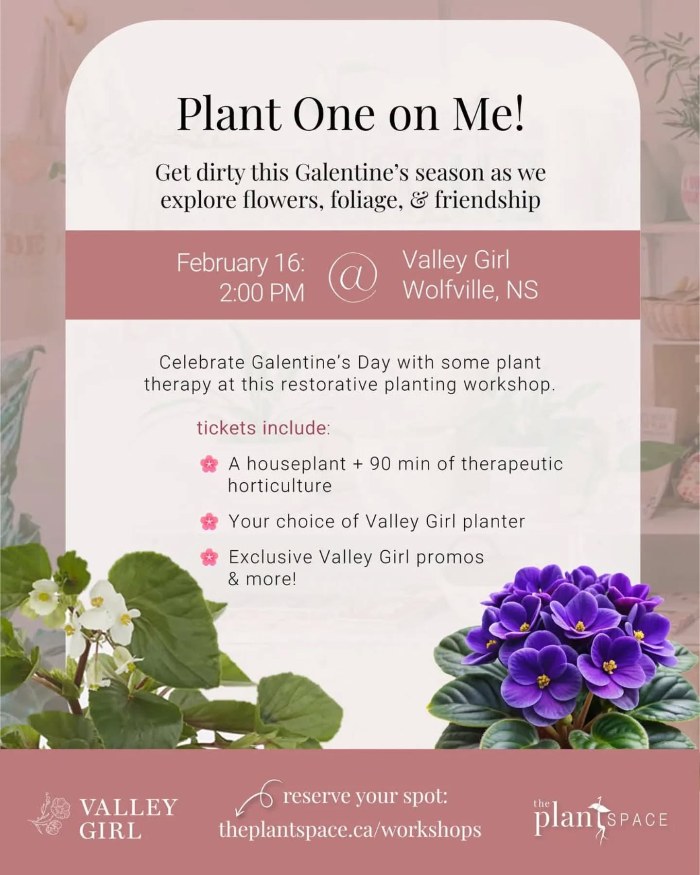 We're rooting for love at our mindful planting workshop this Galentine's weekend!
Grow your love of plants and self at @valleygirl.wolfville on Feb 16 (link in bio) ๐๐ฑ
.
.
.
#plantworkshop #wolfville #galentines #plantlovers #plantevent #indoorgardening #plantdecor #indoorjungle #selfcare #plantcareisselfcare #planttherapy