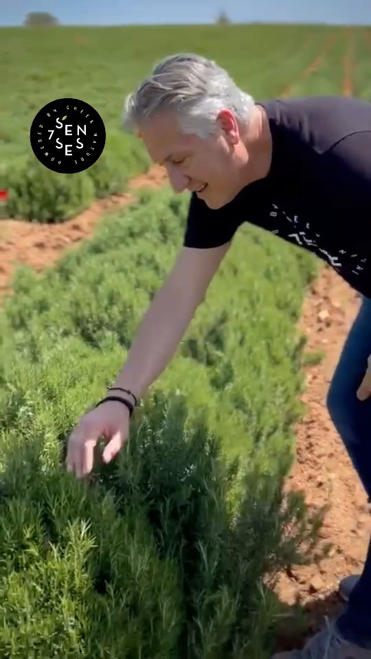 Today we are celebrating one our founders birthday. We are blessed to have you in our lives. Hard working, passionate who brings joy and energy. Happy Birthday Billy! 🥳
#happiness #tealovers #happybirthday #7sensesfounder #bestherbaltea #greekstyle #greekgods #sevensensesteas #organic