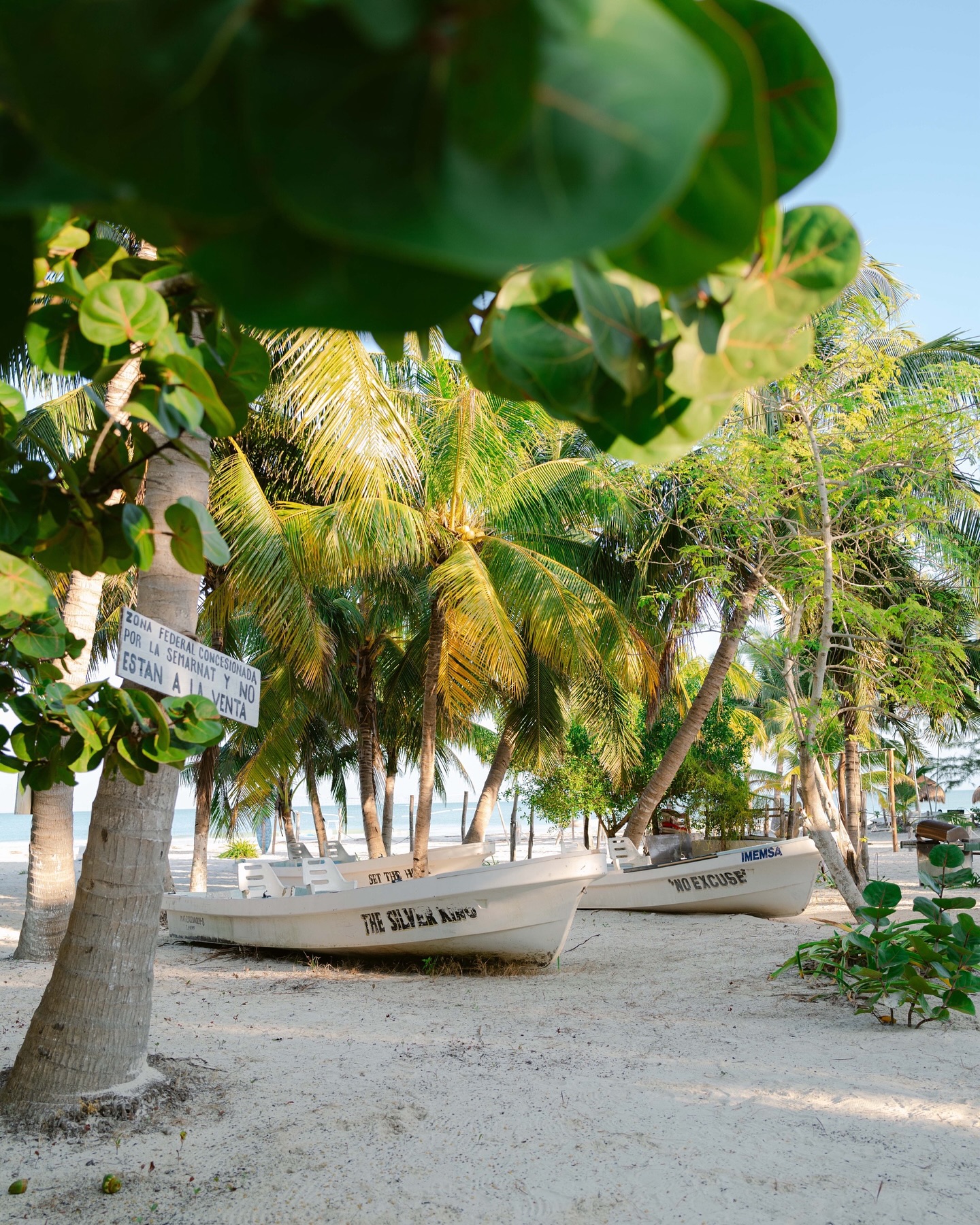 Holbox: Part 2. We loved this tiny little island in the Yucatán. It feels like a less bougie Tulum and a larger Sayulita - just right for me! Highlights included the ATV taxis to get around the often flooded island, incredible stargazing, bioluminescence in the water, and a general chill and restorative vibe 🥰