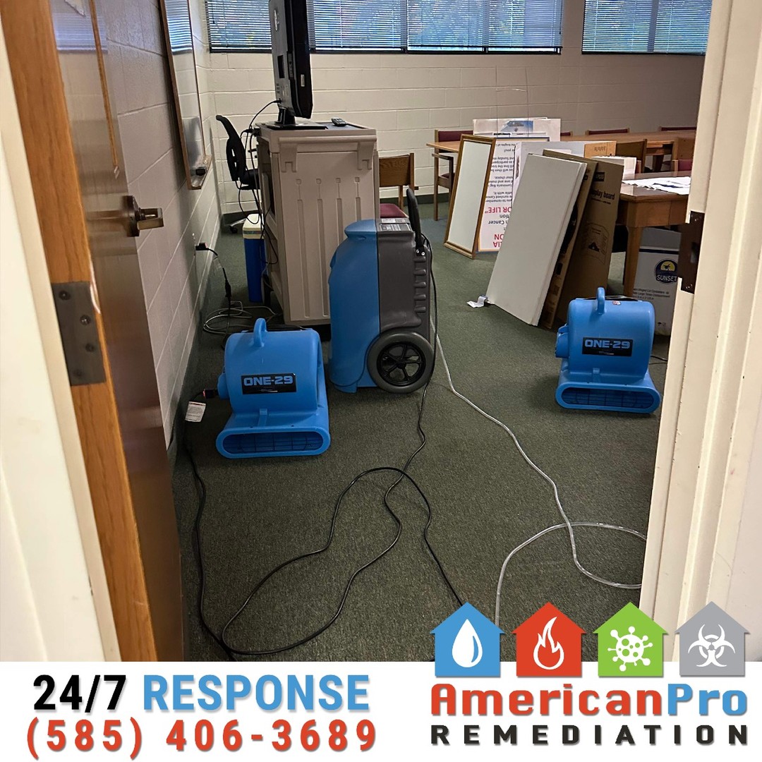💨💧 Drying Carpets in Commercial Spaces: Restoring Business as Usual
When water damage impacts your commercial space, fast and efficient carpet drying is essential to minimize downtime and prevent further issues. At American Pro Remediation, we use advanced techniques to dry and restore carpets, ensuring your business gets back on track quickly.
🔹 Our Process:
1️⃣ Water Extraction: High-powered equipment removes standing water to stop the spread of moisture.
2️⃣ Industrial Air Movers: Strategically placed fans circulate air to speed up the drying process across large areas.
3️⃣ Dehumidification: Removes excess moisture from the air, preventing mold and odors from developing.
4️⃣ Inspection & Maintenance: We ensure the carpet is completely dry and free from damage, ready for your team to step back in.
Your business deserves more than a quick fix — it deserves professional care. Let us handle the cleanup so you can focus on what matters most. 🏢✨
📞 Call us today at 585-406-3689 for commercial water damage restoration.
#AmericanProRemediation
#CommercialRestoration
#CarpetDrying
#WaterDamageCleanup
#DisasterRecovery
#BusinessContinuity
#WeRestorePeace