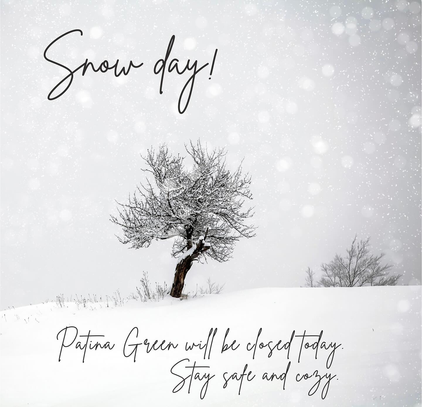 Closed today due to weather! Stay safe and cozy and enjoy a restful Sunday. We’ll see you at 11 AM on Tuesday!
#shoppatinagreen