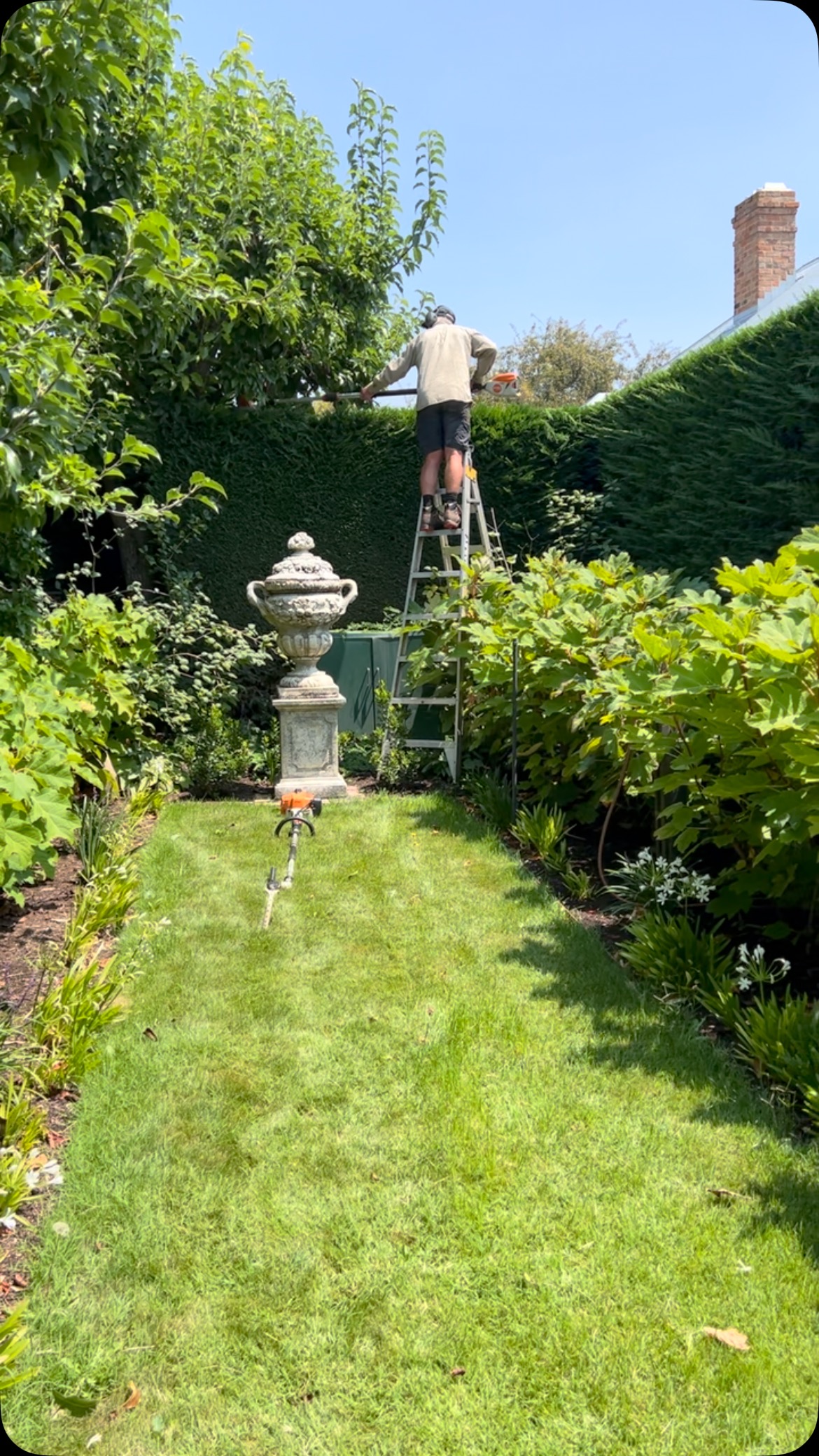 Fergus from @ruralgardensaustralia sharpening the edges in the Secret Garden.
And to show how central we are to the best of Piper Street, that’s @botanikkyneton you can see to the North of our Sunken Garden (where they offer a “special soup of the day”, Negroni”!!
Bookings may be made via our website or @airbnb
Garden ornaments from @conleyandco
Our garden featured on @abciview “Dream Gardens”, hosted by Macedon Ranges Landscspe designer @michaelmccoyongardens
The Old Rectory is listed by @nationaltrustvic
@piperstkyneton
@visitmacedonranges
@daylesfordmacedonranges
@visitvictoriaofficial
#kyneton
#visitkyneton
#hedgetrimming
#oldrectory
#oldrectorygarden
#hydrangeaquercifolia
#dwarfagapanthus
#cypresshedge
#bradfordpear
#secretgarden
#sunkengarden
@stihl the best!