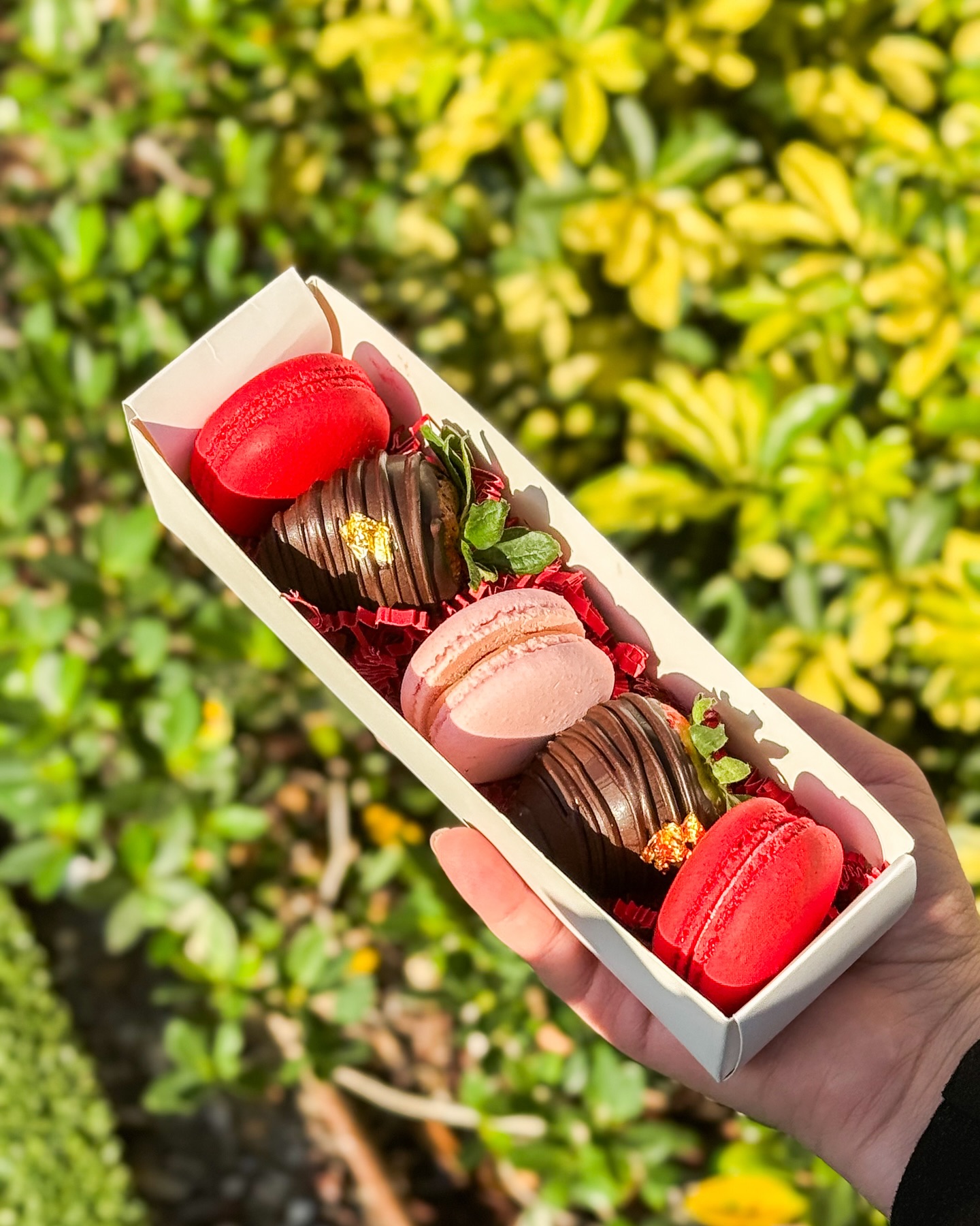 Everything will be available today!♥️🧸
Surprise your loved one with a beautiful gift this Valentine’s Day!😍
Our store hours are 9 am to 6 pm💘