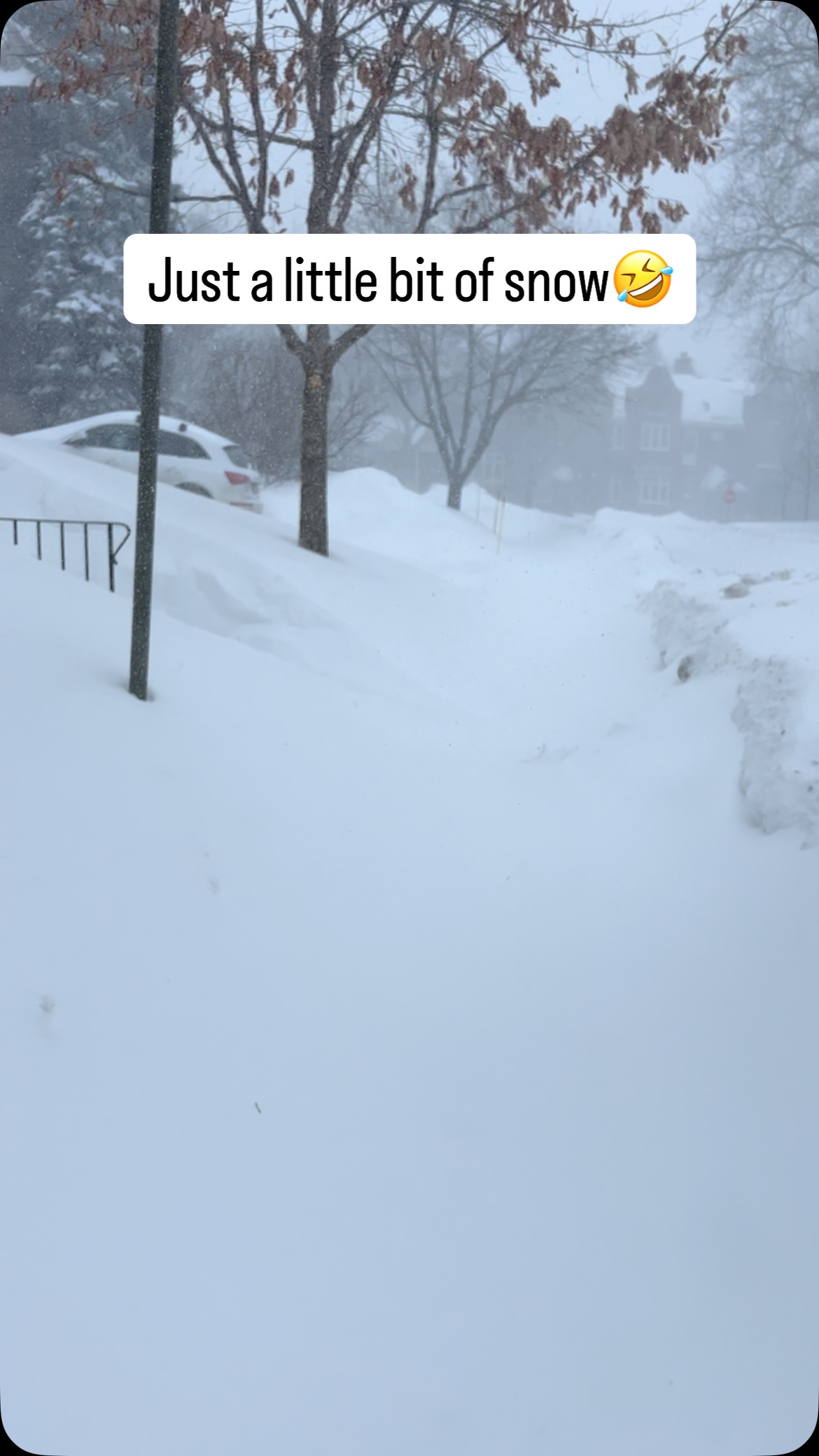 We’ve had just a little bit of snow this week🤣. I’ll update as we dig out, but it’s supposed to snow for another 12 hours😳.
#snowstorm #snowstorm2025 #canadianwinter #doctormom #your_lifestyle_doctors #survivingcanada #canadian