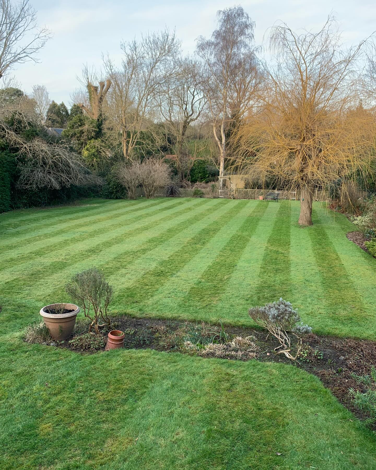 First chop of the year
#highamwoodgardens #gardenertonbridge #gardeningtonbridge #gardenersofinstagram #gardening #gardensofinstagram #englishgardens #gardenborder #garden #gardenideas #gardeninspiration #lawn #lawns #lawncare #grass #lawnmaintenance #lawnsofinstagram #lawnservices