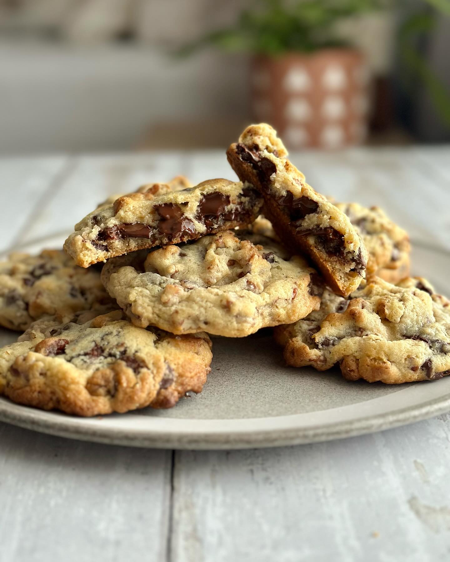 It’s Wednesday, who wants a cookie?!