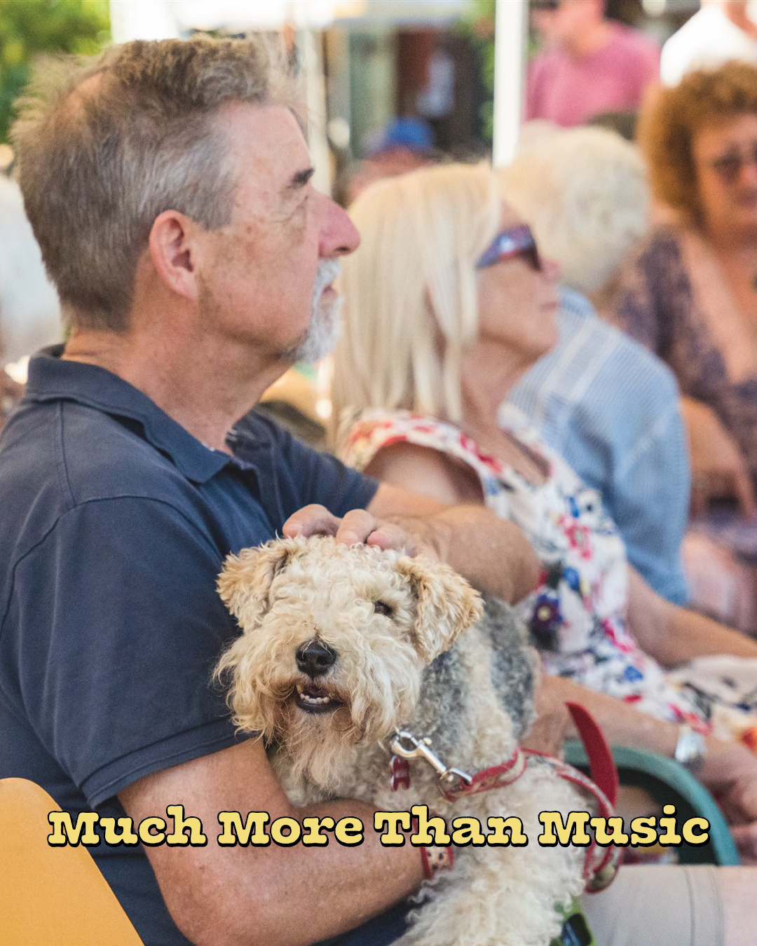 Much More Than Music: here are just some of the events you can check out over the KJBF weekend... Why not take a walk around in-between sets to check out some awesome stuff!
Check our website for more!