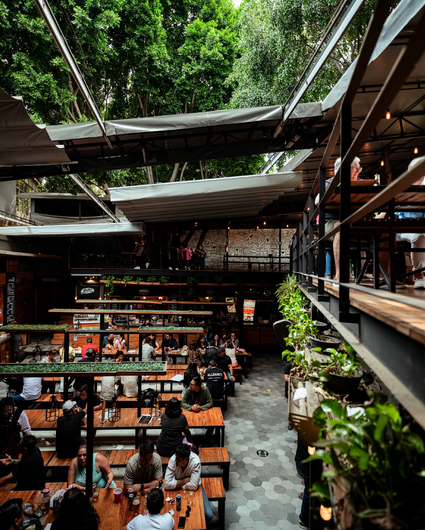 El dilema del día: ¿Qué comer con tanta delicia? 🤯