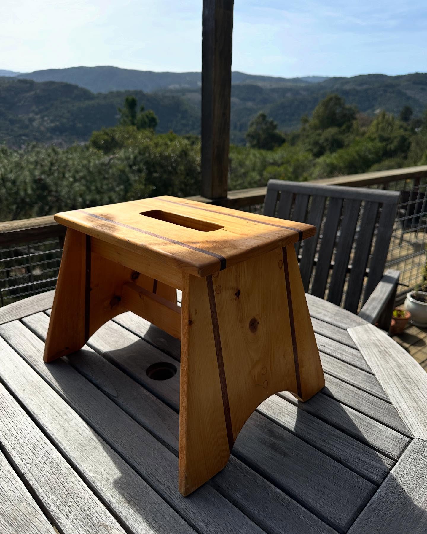 Pine and Sapele Childs stepping stool