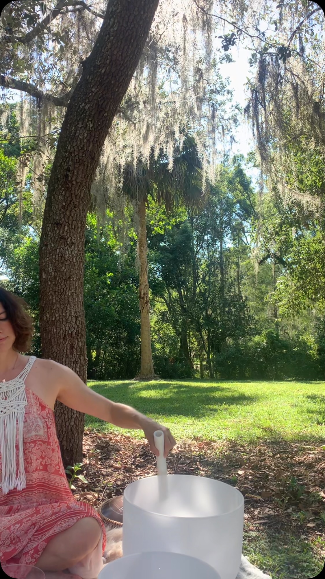This Sunday experience a peaceful journey of movement and relaxation surrounded by nature. Flow through gentle somatic exercises designed to reconnect your body and mind, followed by a soothing sound bath that will leave you refreshed and restored. 🌿✨
March 2nd
9:30am $25
Mead Botanical Gardens