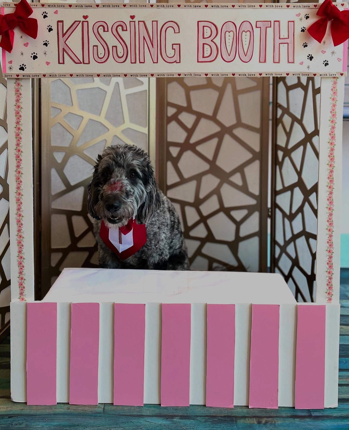 The pups had a great Valentine’s Day, full of love and kisses! 💋 @waldoshere2024