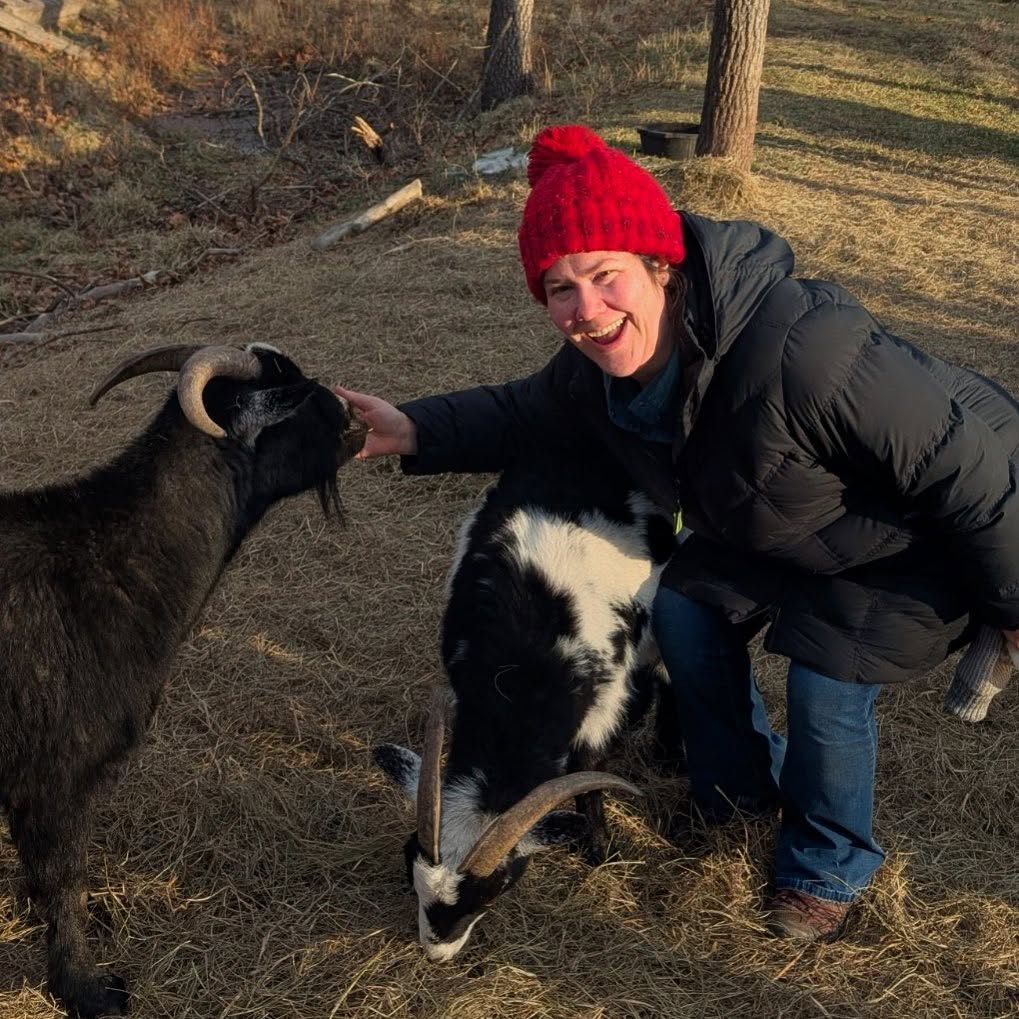 Hello! Iâm Christy- educator and yoga teacher. Iâll be offering yoga classes in and around Claremont, NH. Follow along for some upcoming yoga opportunities- with and without goats đ
Link in Bio for Goat Yoga class June 7!