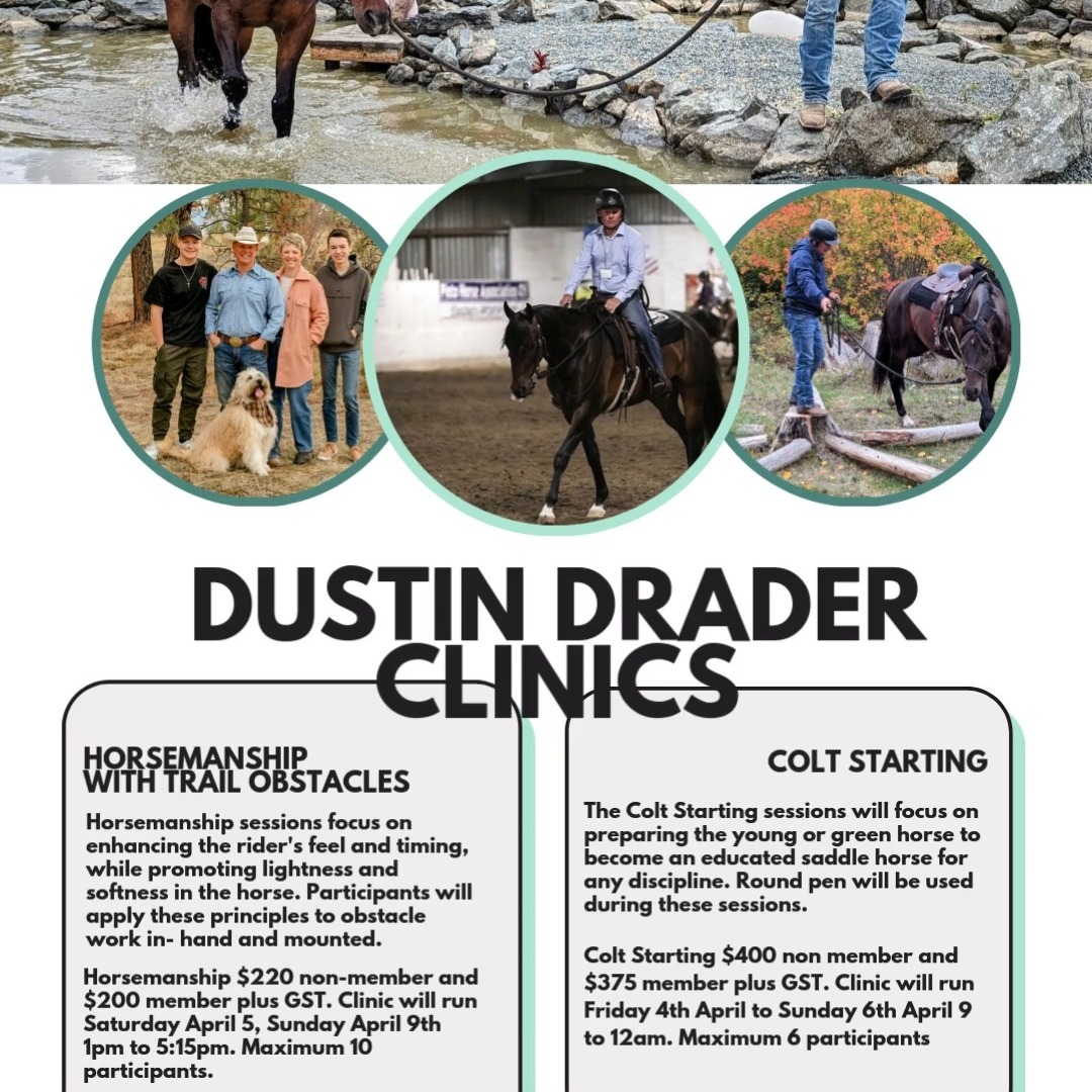 KRC is proud to present a two part clinic run by the amazing Dustin Drader. Dustin is offering a Horsemanship session and a Colt Starting Session on Saturday, Apr 5th - Sunday, Apr 6th.
Dustin knows the importance of a solid foundation, and therefore, ground work is a key part of his program. Heavily influenced by the methods of Buck Brannaman, Dustin strives to develop lightness, correct movement, and a willing work ethic in all of his horses. He wants to get as much from the horse as he can without it becoming bothered.
Horsemanship sessions focus on enhancing the rider's feel and timing, while promoting lightness and softness in the horse. Participants will apply these principles to obstacle work in hand and mounted.
The Colt Starting sessions will focus on preparing the young or green horse to become an educated saddle horse for any discipline.
Click the link in bio to register on our website.
#kelownaridingclub #krc #dustindrader #coltstarting #horsemanship