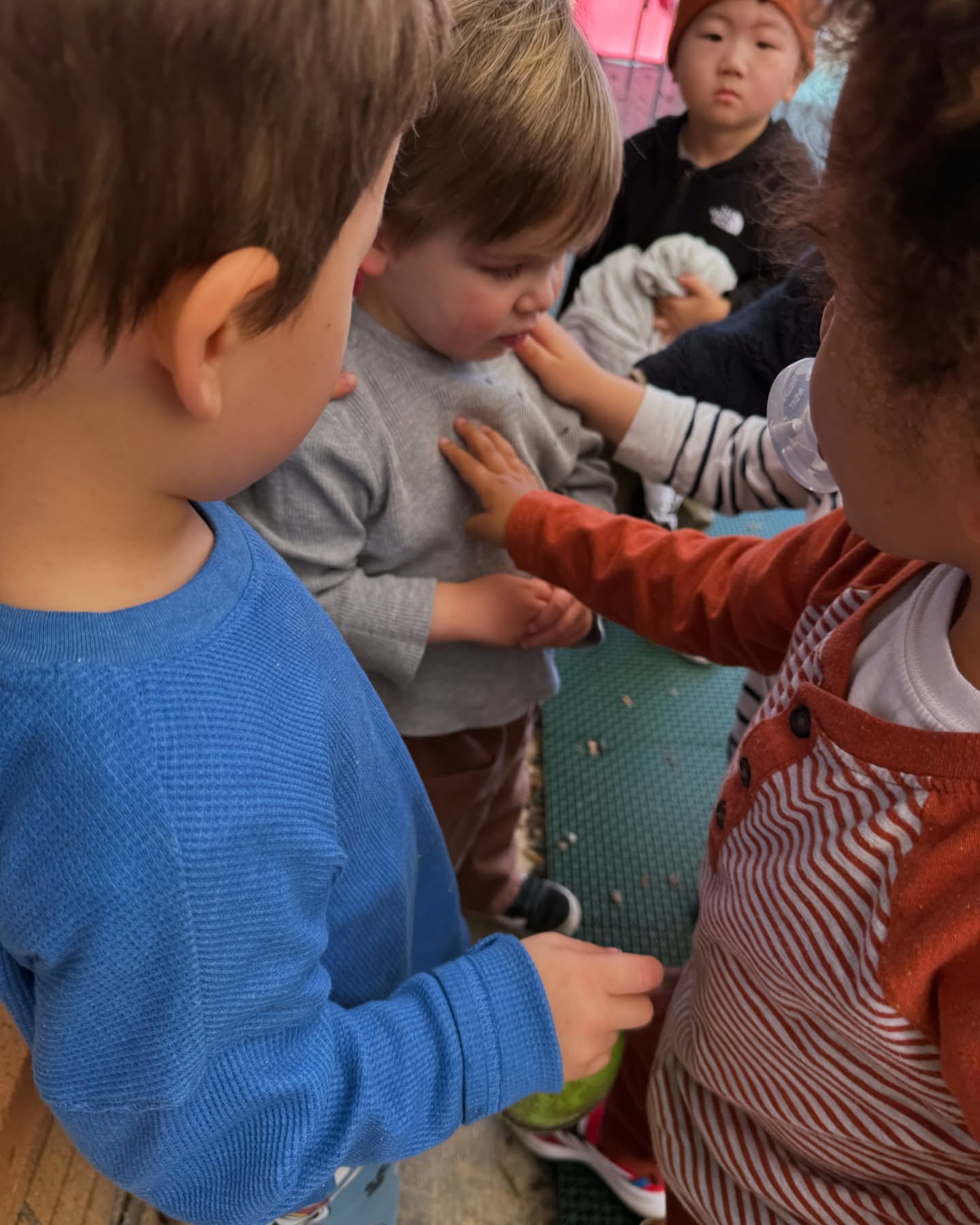 A friend at Imagine fell and cried and all his buddies rushed to comfort him 😍.
#childrenarethebest
#kindness
#empathy
#preschool