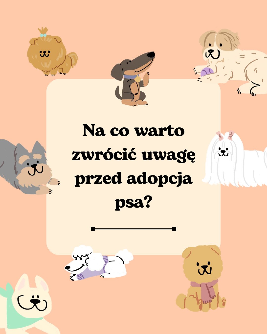 Zanim adoptujesz psa przemyśl te kilka kwestii💗 #adopcjapsa #adopcja #odpowiedzialność