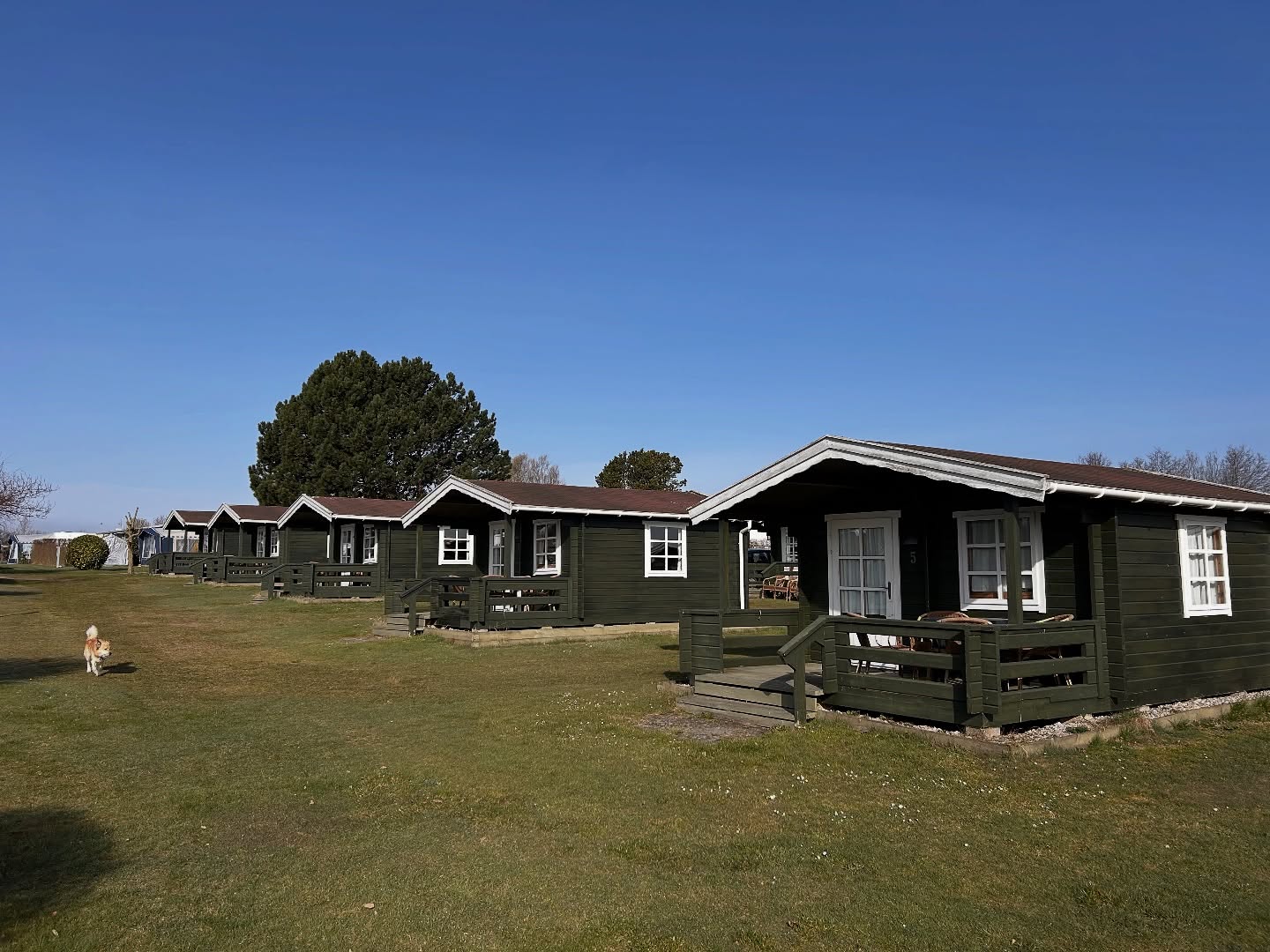🌳🏕️Hos os er det både muligt at benytte sig af egen campingvogn og telt, eller leje en af vores hyggelige hytter.
Pladsen har 10 hytter, hver på 16 kvm med en lille tilhørende terrasse på 8 kvm, udstyret med havemøbler.
Alle hytter har et lille køkken med indlagt koldt vand, samt køleskab, kaffemaskine, elkedel og en lille kombiovn.
Der er service til 4 personer, køkkenudstyr, opvaskemiddel, karklud og viskestykke.
Linnedpakke kan tilkøbes.
Hunde er velkomne i hytterne.
Hytterne har forskelligt med plads til hhv 2-4 personer.