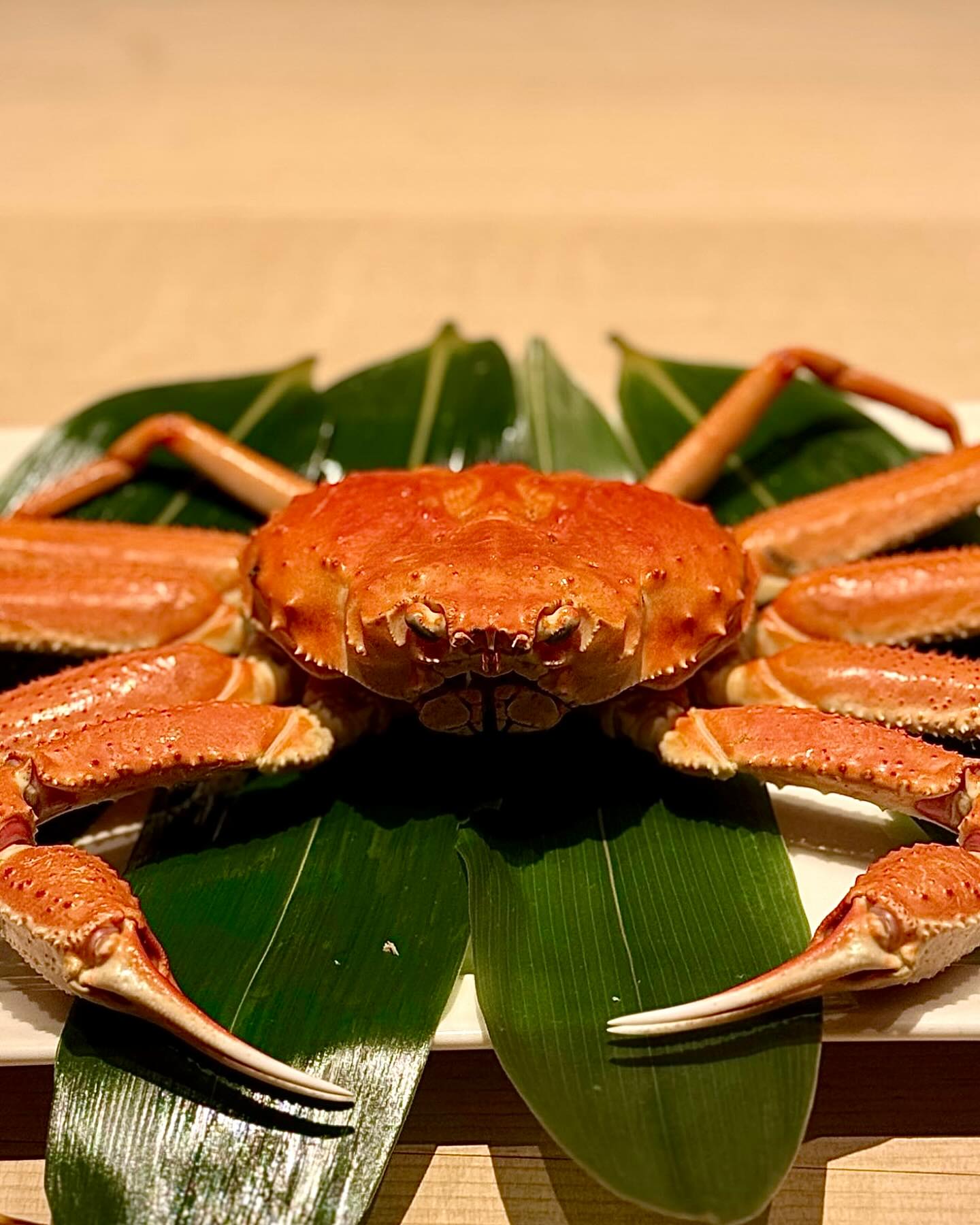 Looks who’s in town?
The highly prized Hokkaido Snow crab 🦀 Known for its tender and sweet fresh, it is available only for a very short season until March.
Call, WhatsApp or email us for your booking to enjoy this seasonal treasure as part of our Minazuki Omakase course.
+6591590102
contact@sushi-ayumu.com
https://www.sushi-ayumu.com/reservations
Yoroshiku onegaishimasu
#sushiayumubymasaishibashi
#鮨石橋正和
#sushiomakase
#omasake
#寿司
#鮨
#すし
#江戸前寿司
#江戸前鮨
#美味しいは
#tokyosushi
#edomaesushi
#美食
#乌节路
#日本料理
#美食推薦
#米基林
#sushilovers
#sushistagram
#finedining
#finedininglovers
#tokyosushi
#singaporeomakase
#singaporebestrestaurants
#싱가폴라이프
#싱가포르
#싱가포르일상
#싱가포르맛집
#싱가포르여행