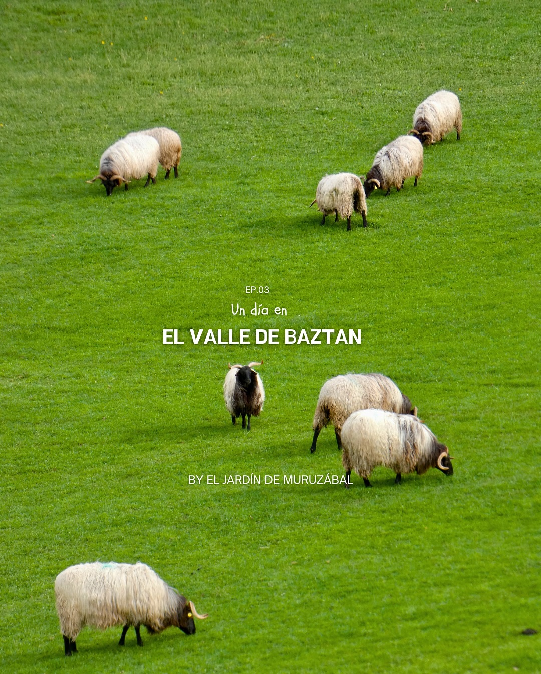 Un día en el Baztan🐑✨
#muruzabal #navarra #casarural #amigos #turismo