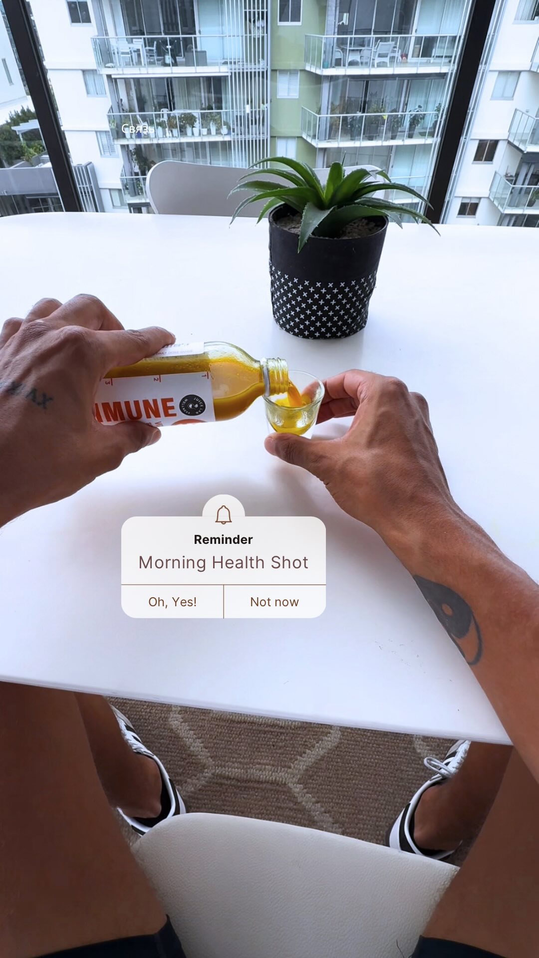 Health is wealth… but tequila is happiness ☀️
They say health is wealth 🥬💸, but tequila is happiness 🍹😎—and who am I to argue with science? Started my day with a wellness shot for the body 💪, ended it with a tequila shot for the spirit 🥳. It’s all about balance… or at least, that’s what I’m telling myself! 😉✨
#DetoxToRetox #BalancedLifestyle #CheersToThat #brisbaneevents #bartender #cocktails #mobilebar #brisbane