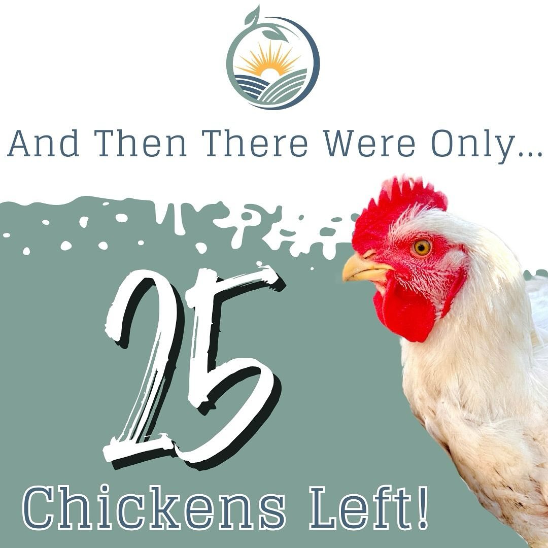 February just ended and we only have 25 chickens left to sell for this summer! Seriously, do not wait. Reserve yours right now at countycornerfarm.com/chickens