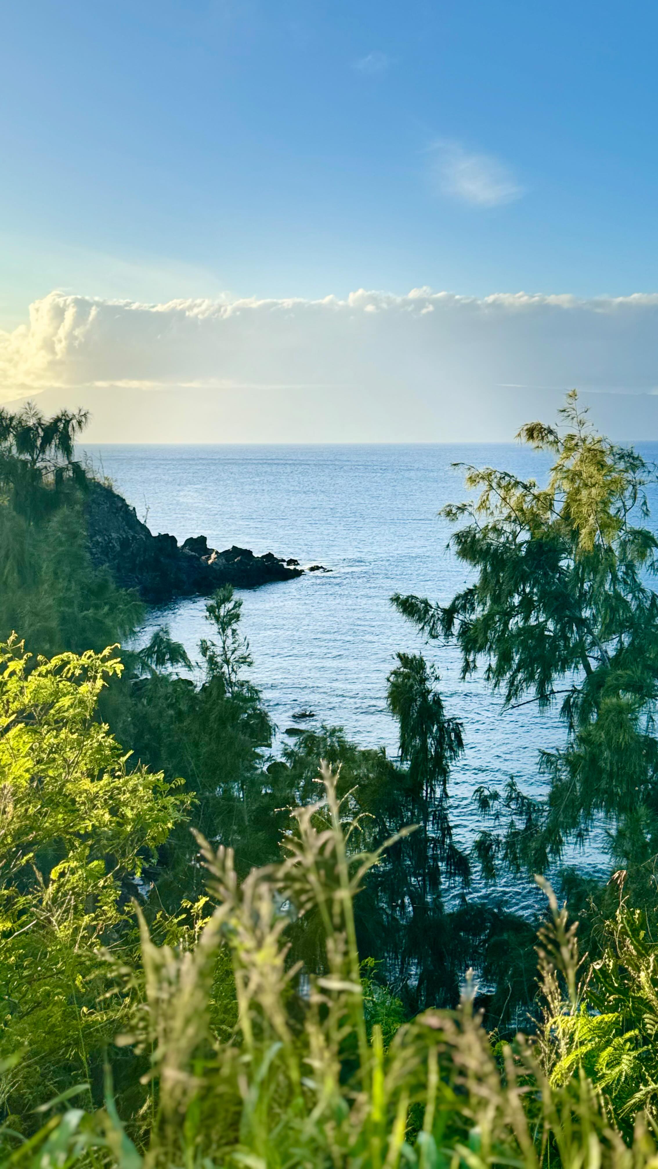 I don’t know what it is about the energy of Hawaii, but I do know that no matter the island, it just fills up my soul. This time we visited Maui to see the whales, get our annual Mai Tais and Chi Chi’s, golf Kapalua and just enjoy the incredible weather we had ☀️🐳🌴🍹 Until next time Hawaii … Mahalo 🌺 #onhawaiitime #maui #hawaiilife #besttravelpartner