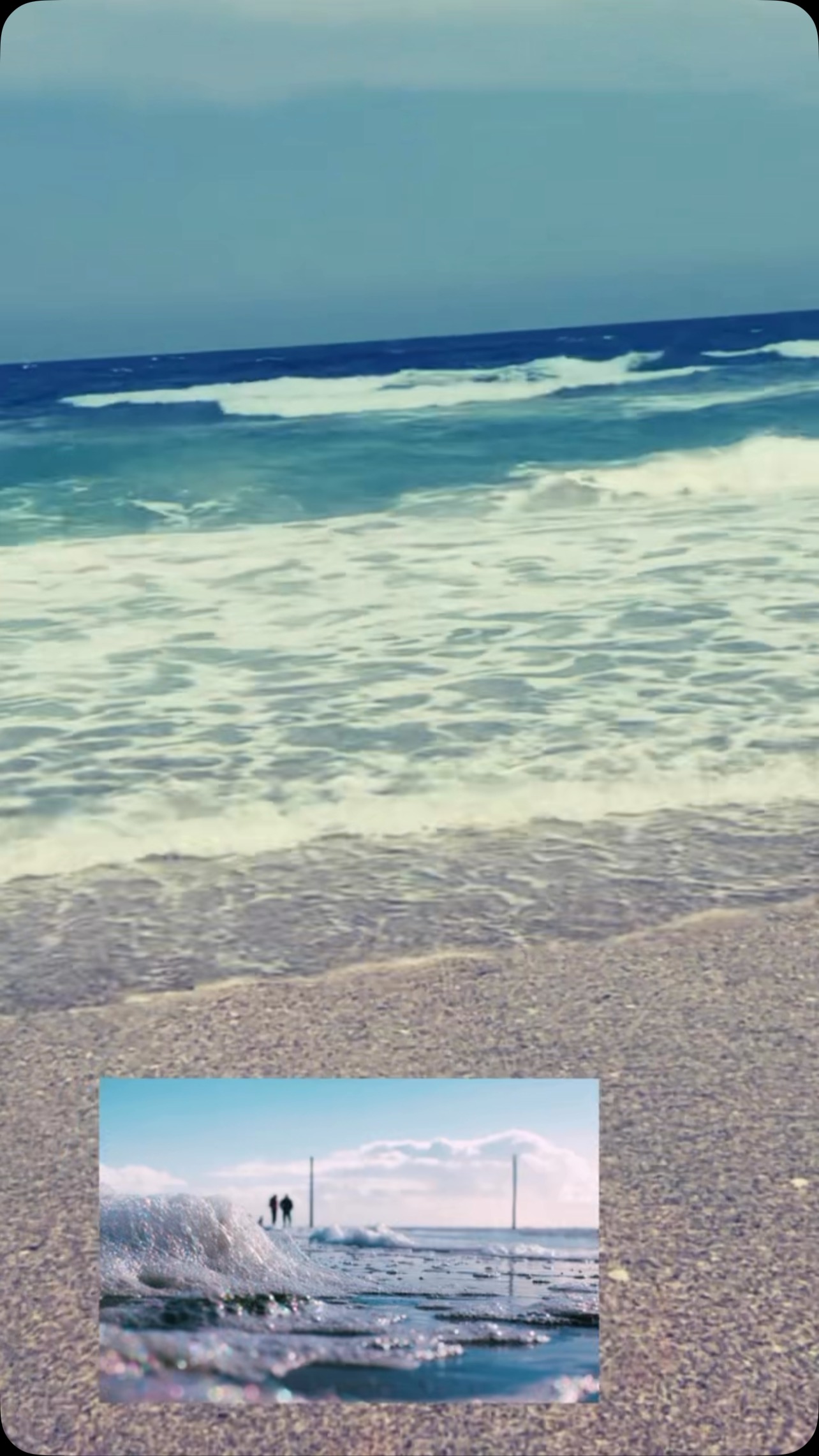 We 💙 the beach.
#beachmule #beachlife #shopnow #electric #madeinamerica #electricbeachcart #beach #obx #carolinabeach #florida #beachlife #supportsmallbusiness #welovethebeach #dontmissit #lowstock