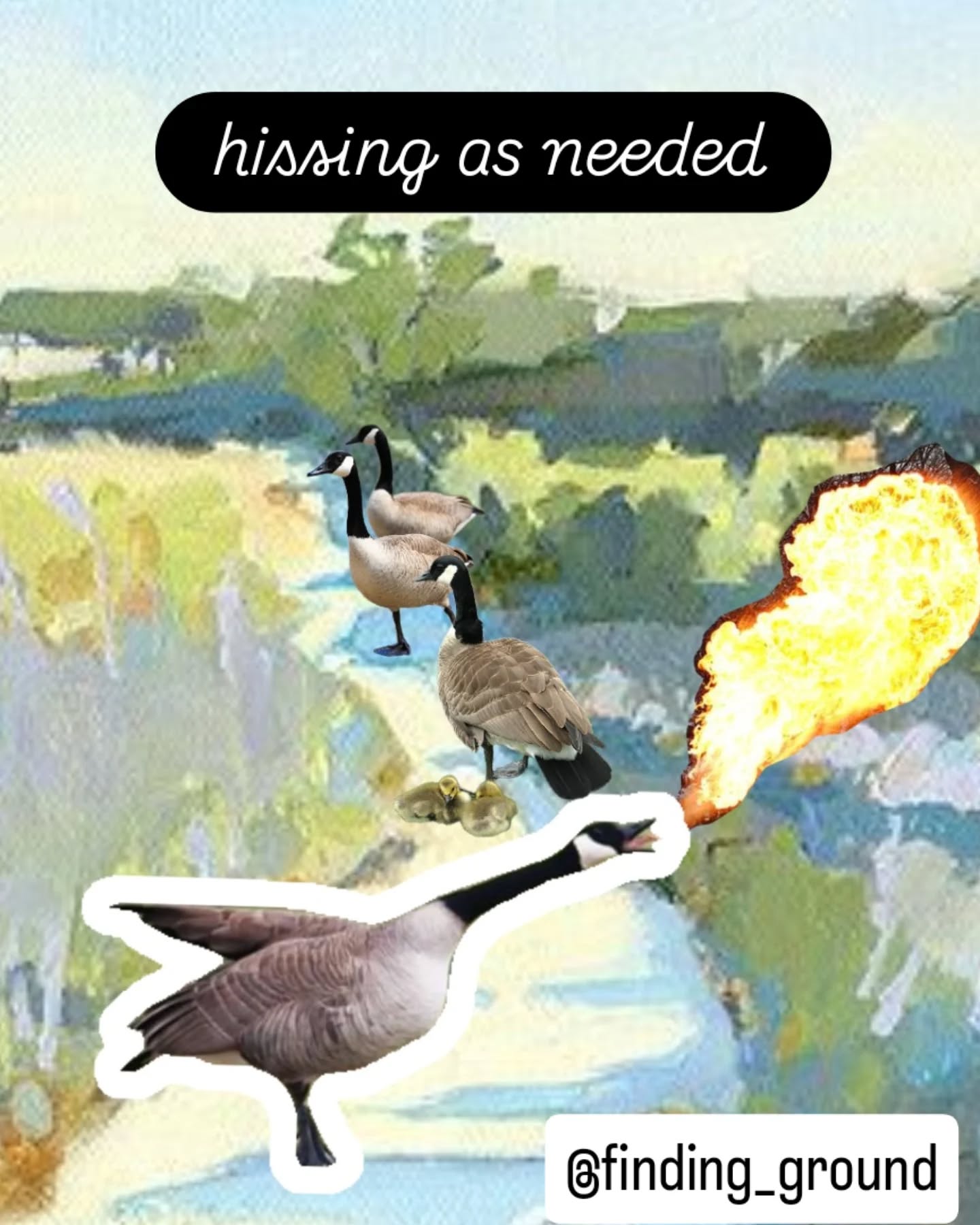 Today's affirmation collage ๐ชฟ Learning from the animals on my walk home this morning.
#expressivetherapy #naturetherapy #angermanagement #nervoussystemregulation