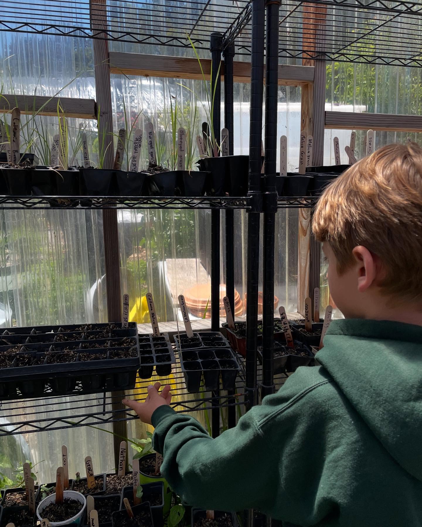On Monday, we piloted our new series of videos about climate change, carbon sequestration, and youth action with 4th graders at Nueva. Our mini movie critics shared very positive reviews, and we’re excited to share the videos more widely!