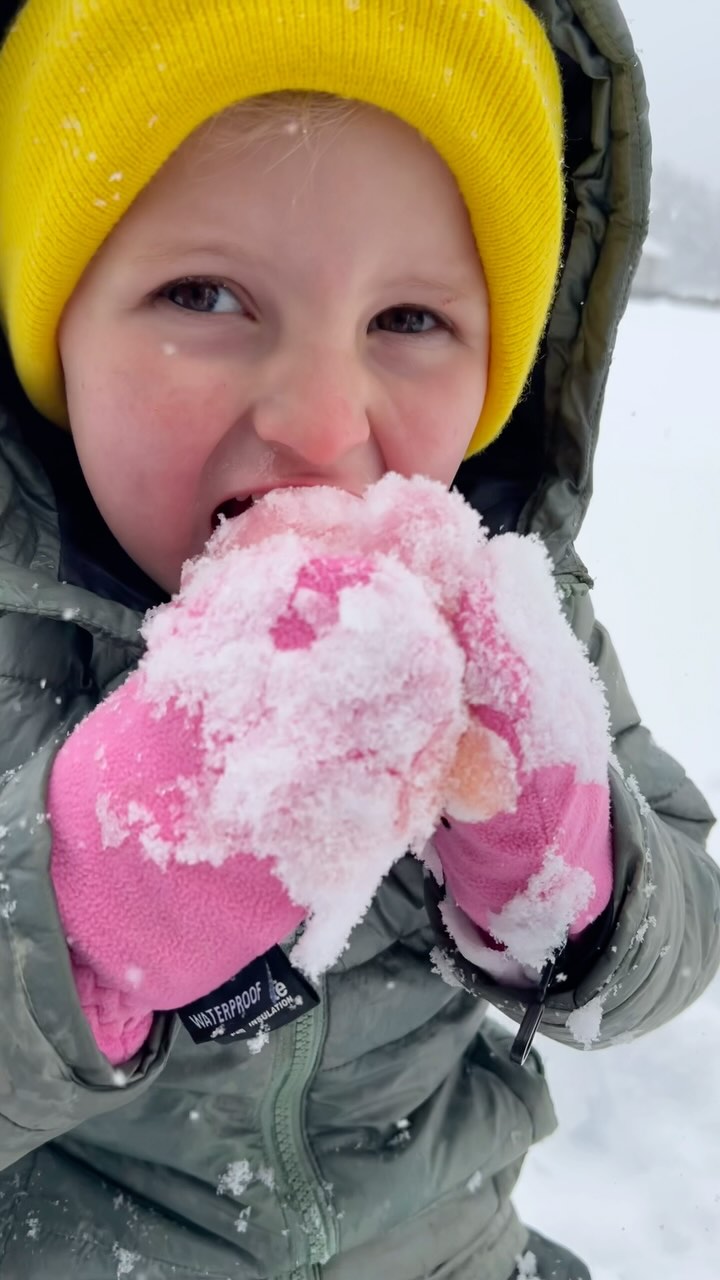 Snowday snowcones! ❄️🍧
#snowday