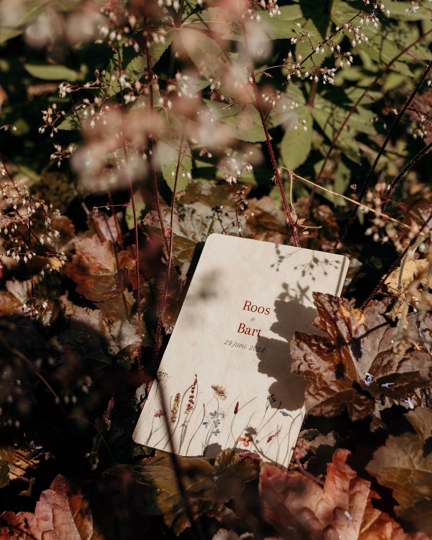 Bij deze bruiloft vorig jaar viel echt รกlles samen. Dit stel vierde hun liefde in een prachtige tuin vol gekleurde bloemen en planten, en dit zag je in de styling terugkomen. Zรณ mooi!! ๐ฟ๐ Tijdens de โrustigeโ momentjes vind ik het heerlijk om al die details vast te leggen - waar zoveel liefde en aandacht ingestoken is. Echt genieten.โจ
#byemilyvisser #weddingcard #trouwkaart #bruiloftstyling #trouweninhetgroen #buitenbruiloft #bruiloftinspiratie #weddingdetails #bruiloftsfotografie #liefdevollemomenten #trouwenin2025 #bloominglove #happilyeverafter