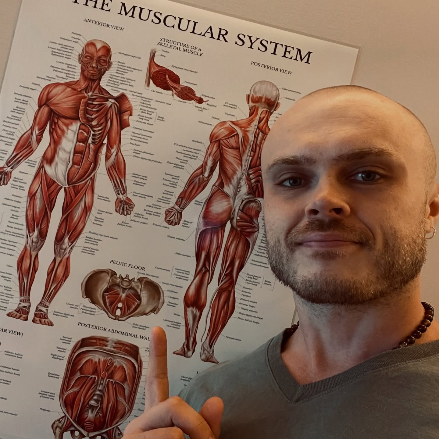 Hay alrededor de 650 músculos en el cuerpo humano… y muchos de ellos requieren atención.
Así que no ignores el masaje: tus músculos te lo agradecerán