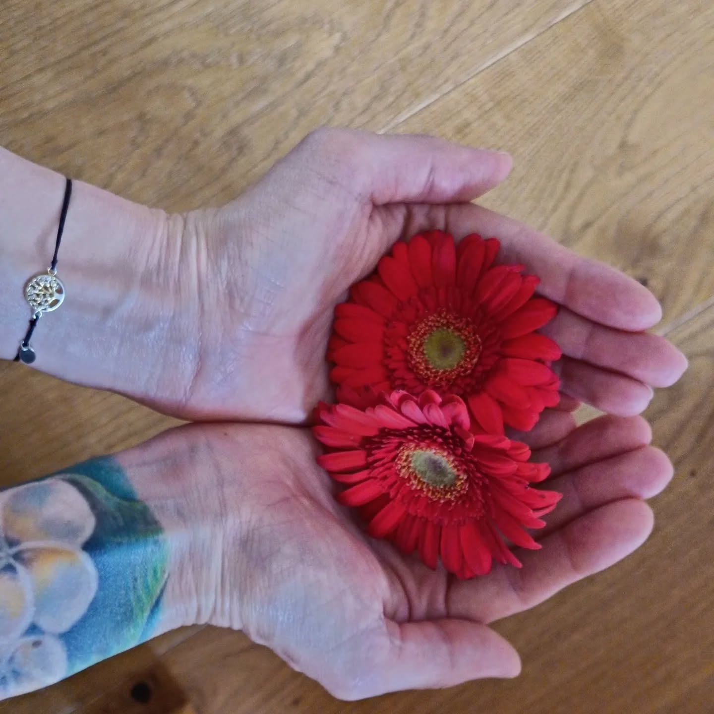 Pushpaputa Mudra – Die Geste der offenen Hände 🙏🌸
Pushpaputa Mudra steht für Offenheit, Hingabe und Dankbarkeit. Es bedeutet „eine Hand voller Blumen“ und wird genutzt, um sich für neue Energien, Weisheit und innere Fülle zu öffnen.
⇢ Wirkung des Pushpaputa Mudra:
- Fördert ein Gefühl von Hingabe und Vertrauen
- Unterstützt die innere Ruhe und Gelassenheit
- Stärkt die Dankbarkeit und die Verbindung zum Leben
- Hilft, alte Muster loszulassen und Neues zu empfangen
- Erhöht die Bewusstheit für den gegenwärtigen Moment
⇢ So führst du das Pushpaputa Mudra aus:
- Setze dich in eine bequeme Meditationshaltung.
- Lege beide Hände mit den Handflächen nach oben geöffnet auf deine Oberschenkel.
- Die Finger sind leicht entspannt und sanft geöffnet – als würdest du eine Schale formen.
- Schließe die Augen und atme tief ein und aus.
- Spüre, wie du mit jeder Einatmung Energie empfängst und mit jeder Ausatmung loslässt, was du nicht mehr brauchst.
.
.
#yogawellbeing #yoga #reithimalpbachtal #PushpaputaMudra #alpbachtal #MudraMagie #YogaPhilosophie #InnereRuhe #Dankbarkeit #Hingabe #Energiefluss #Achtsamkeit