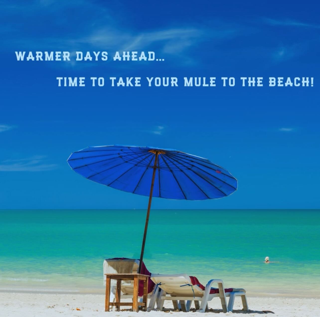 The warm weather is calling 🌤️⛱️
#beachmule #beachseason #shopnow #catchthewave #limitedstock #madeinnorthcarolina #beachplease #obx #florida #northcarolina #myrtlebeach #beachlifestyle #hurryup #carolinabeach