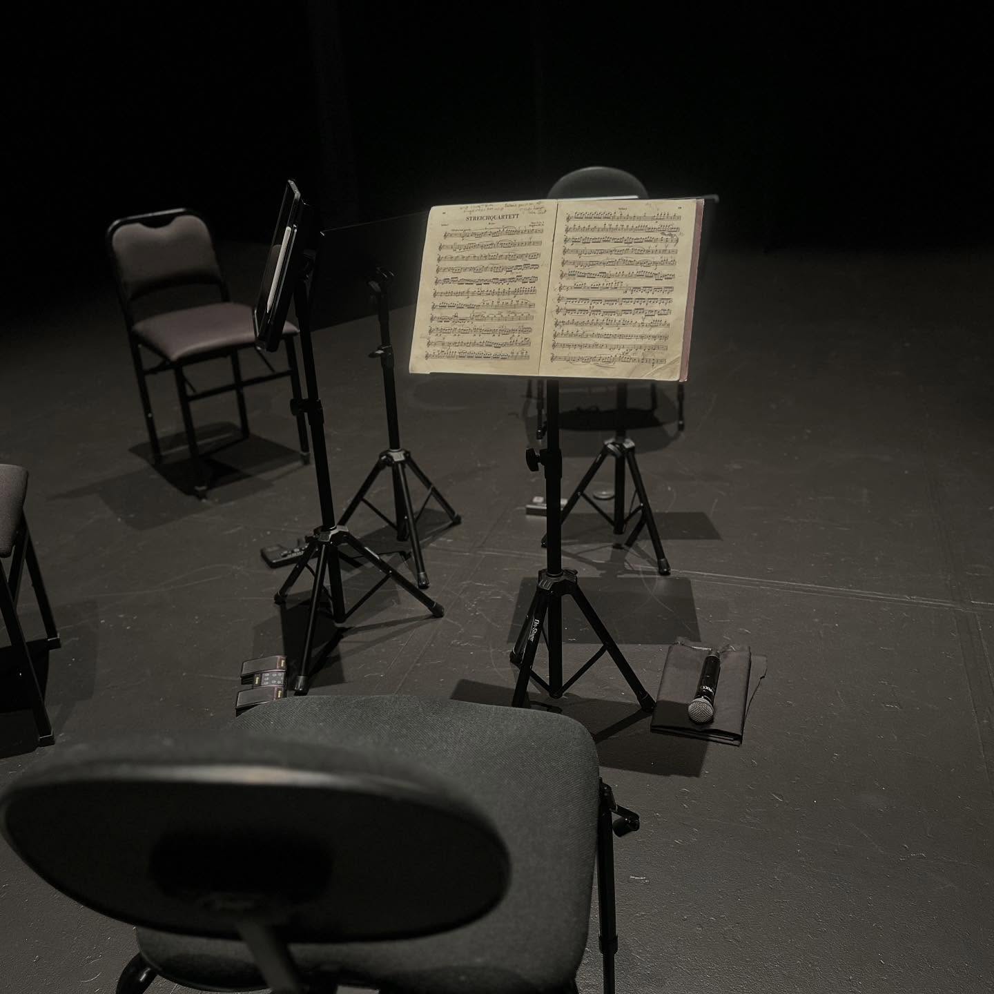 let the @australianhaydnensemble tour commence … all we need now is the audience to come in…
#concert #classicalmusic #haydn #beethoven #fannymendelssohn #stringquartets #freelance #artsmarketing @riversideparra #violin #viola #cello #historicallyinformedperformance #gutstrings
