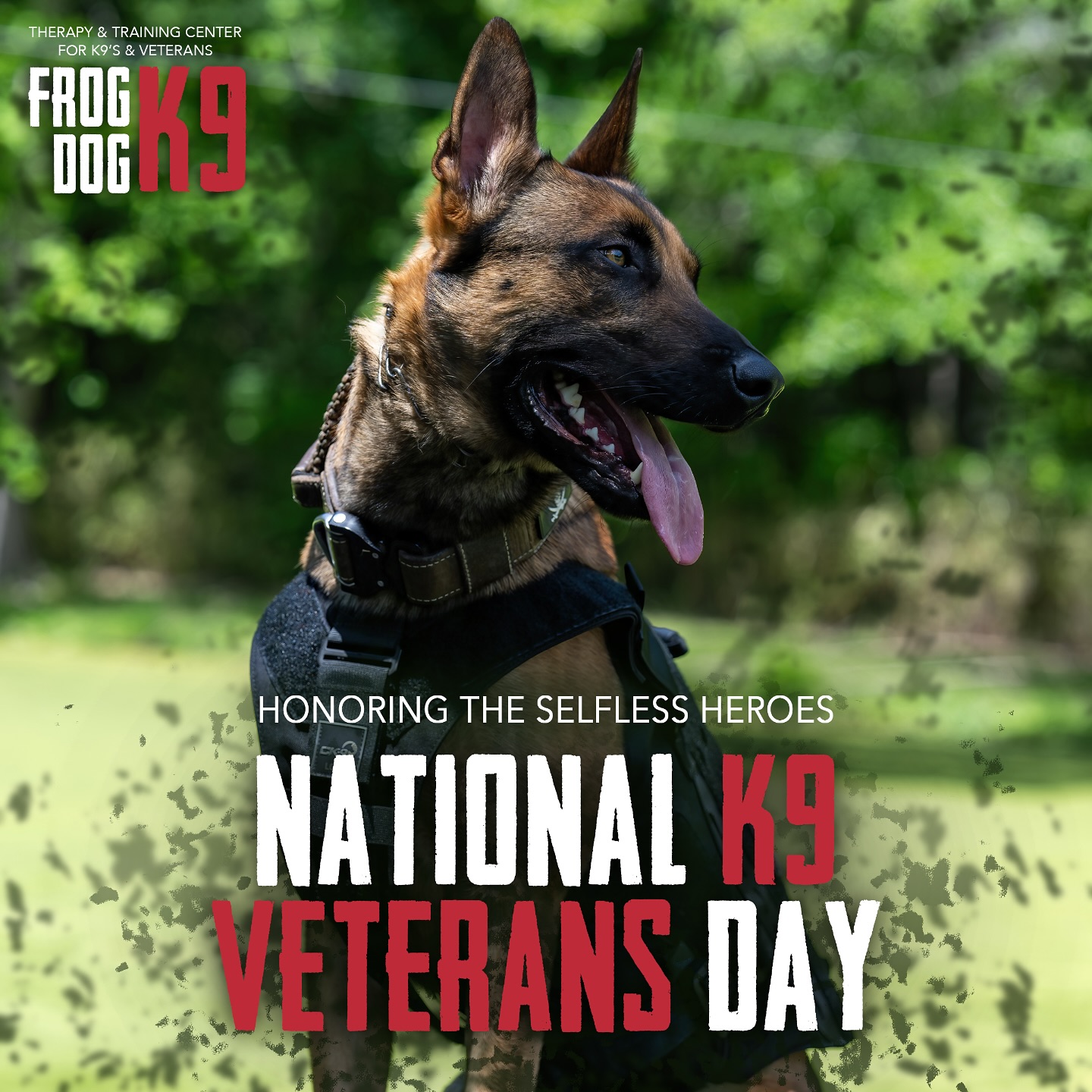 Today, we salute our four-legged heroes 🇺🇸 We reflect on their valor, remember those that have passed and recognize the tireless, selfless efforts of K9 active-duty service dogs 🐾❤️ #nationalk9veteransday
📸 @osaki022
#wesaluteyou #heroes #k9 #servicedogs #veterans #dogsarelife #militaryk9