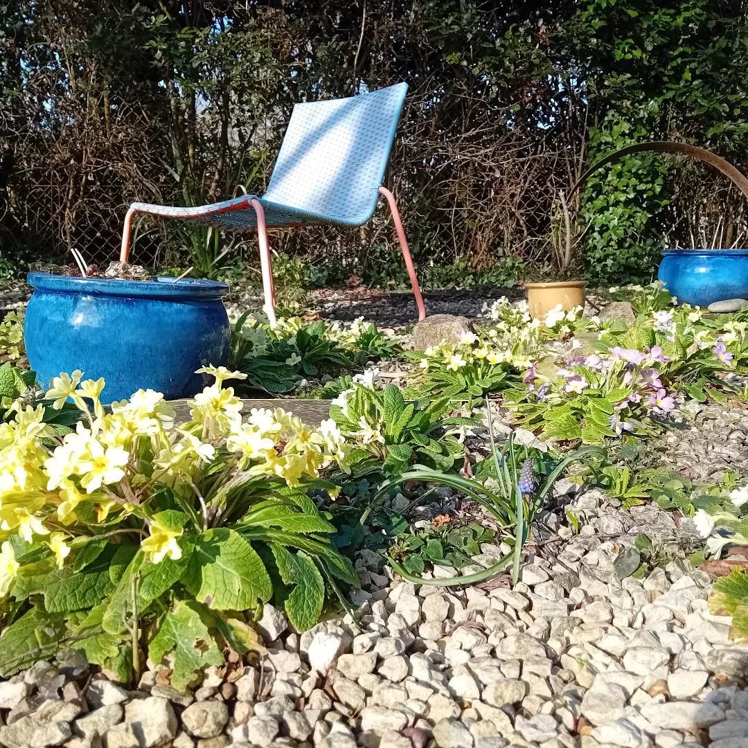 Lovely little corner of one of my customer's gardens in the spring sunshine. 😎