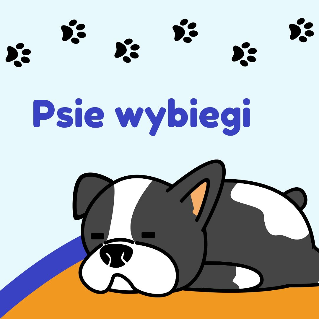 Wybiegi dla psów, czy zawsze są dobre?🦮#dogs #dog #animal #animals #pies #psy