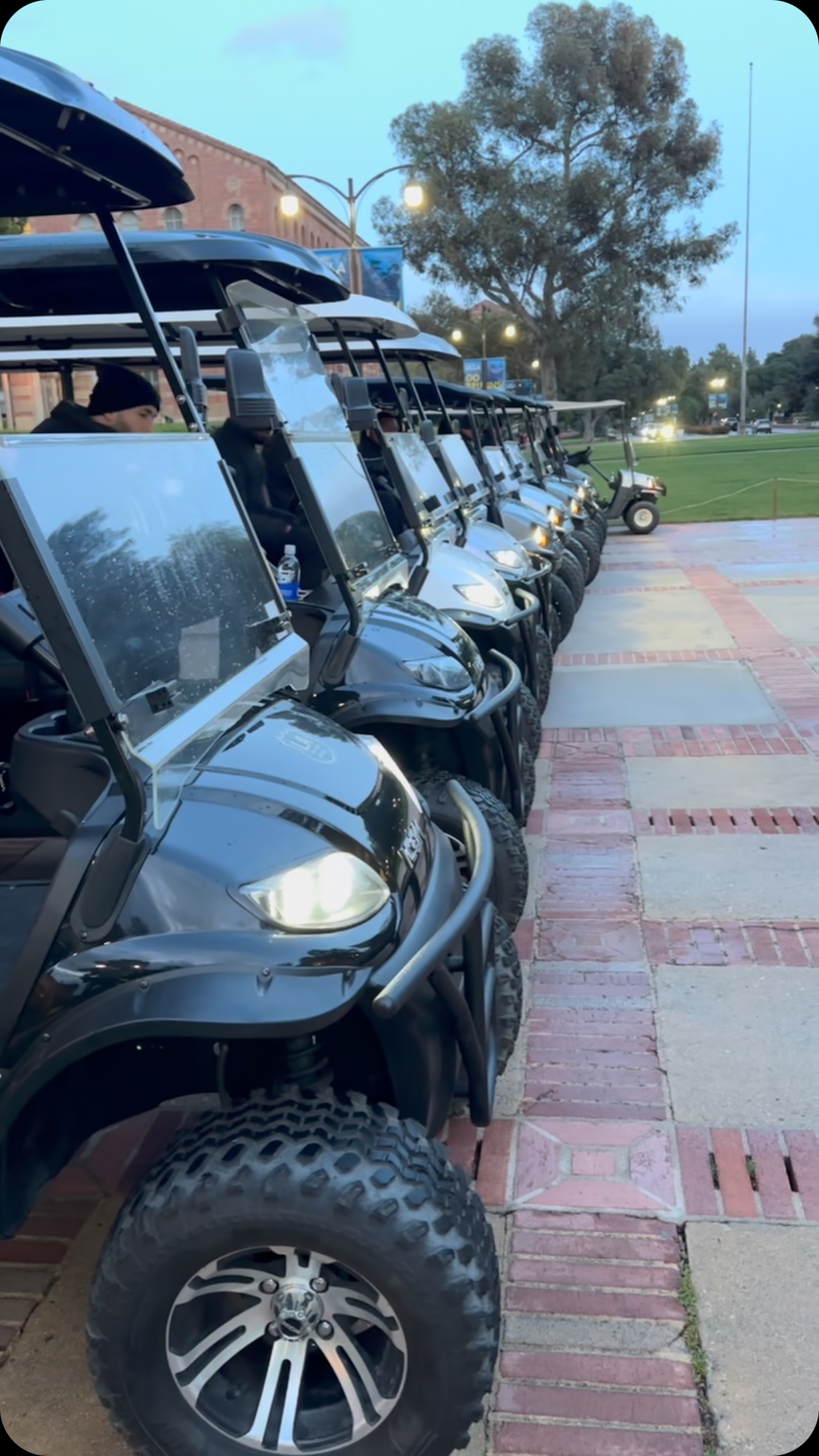 How many carts?