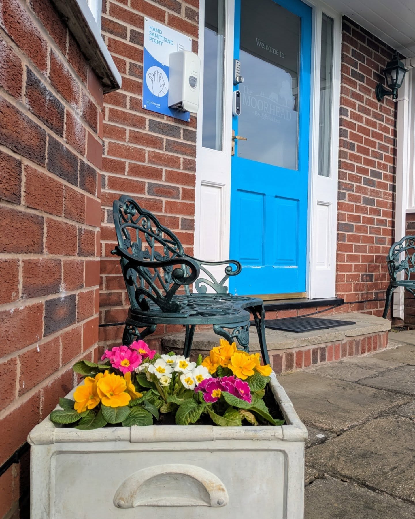 Keeping the B&B entrance looking colourful ๐ท๐ธ๐น๐บ๐ป๐ผ๐ต๏ธ๐ ๐ฎ๐ชท๐ชป
#plants #bedandbreakfast #shropshire
