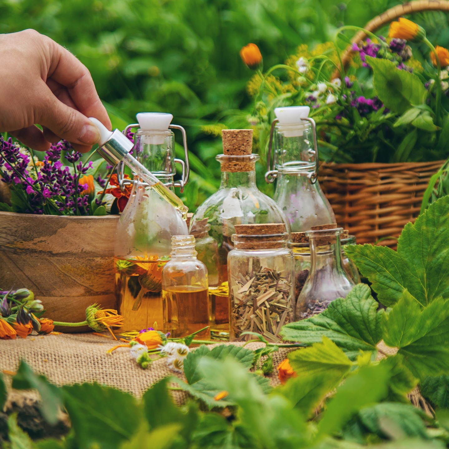 Ressentez l'Ă©nergie du printemps ! đż Votre corps mĂ©rite un renouveau. DĂ©couvrez nos conseils pour un drainage du foie efficace et naturel. đŒ
https://www.lenergieenequilibre.com/post/le-drainage-du-foie-au-printemps-retrouvez-votre-vitalité
#énergieenéquilibre#printemps #détox
