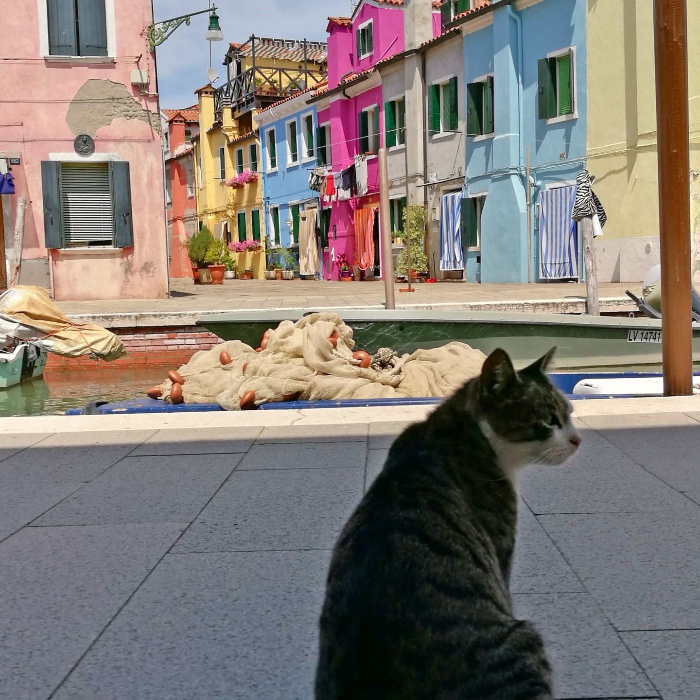 #venezia #isoladiburano #burano #italia #italy🇮🇹