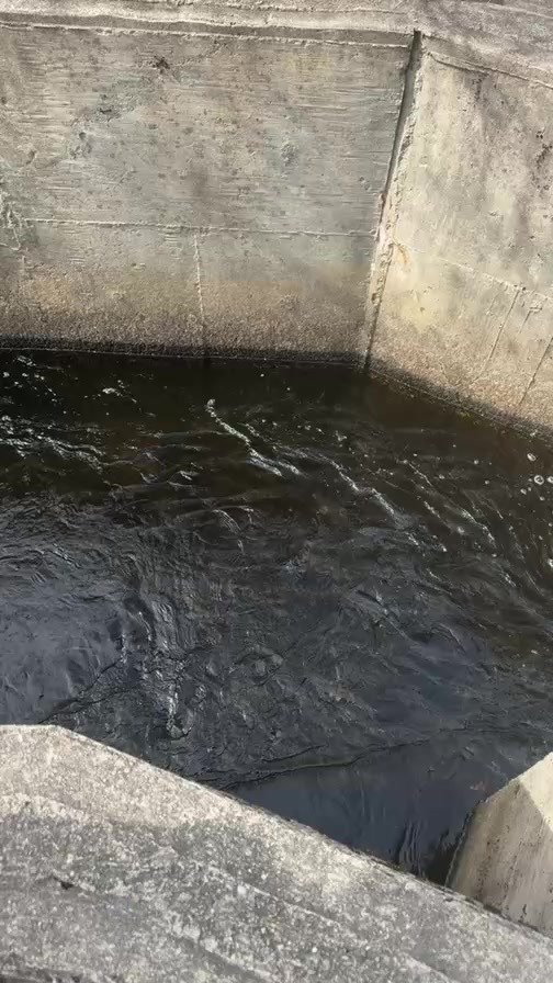 At the Middleboro Herring Run