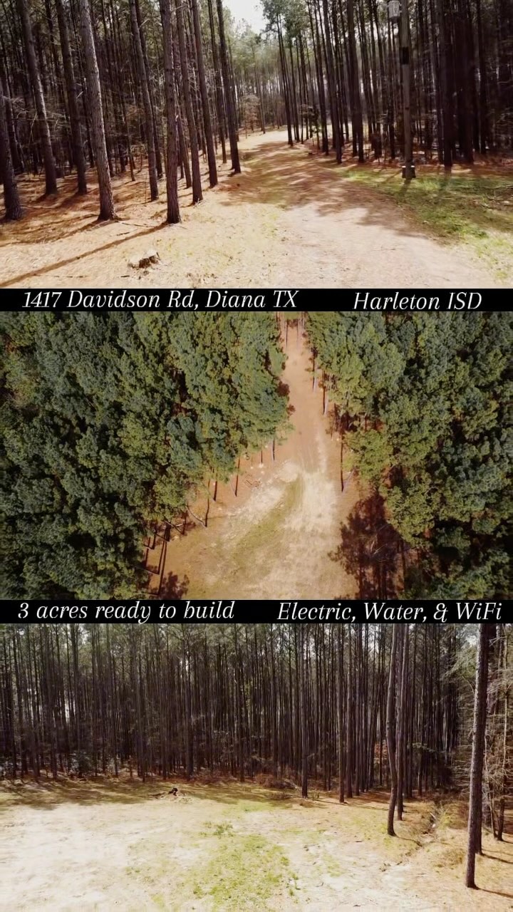 📍 1417 Davidson Road, Diana Tx • Welcome to your future home site!
🌳3 sprawling acres in Diana/ Harleton ISD has everything you need to start your build! A gravel driveway splits mature pines offering privacy from the road, and opens up into a cleared area with electric, water, and fiber optic internet already run. With a survey on file, this land is truly ready for your to build your dream home. Conveniently situated outside of the city limits and with no restrictions, the possibilities are endless for this 3 acre slice of Heaven! Ask about the USDA 0% down land loan or construction loan!
💰 Offered at: $66k
📲903-431-5636
💻Full listing: https://s.paragonrels.com/goto/LP7JaqMGJ8l