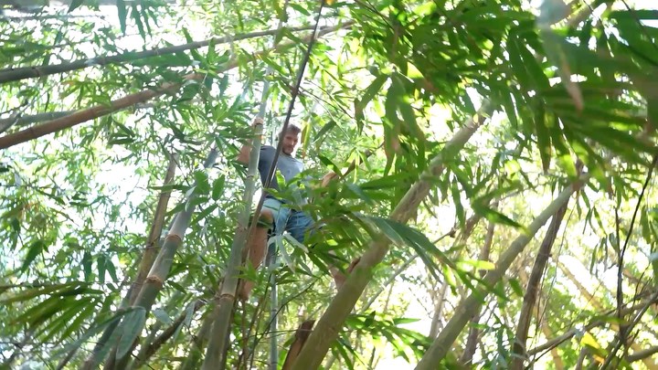 New video out on YouTube. I’m on a deserted island and can’t share the link but watch this entire video with @carribeanearthskills and @mattcorradino #survival #lostatsea #primitiveskills #desertislandsurvival #bushcraft #wildsurvival