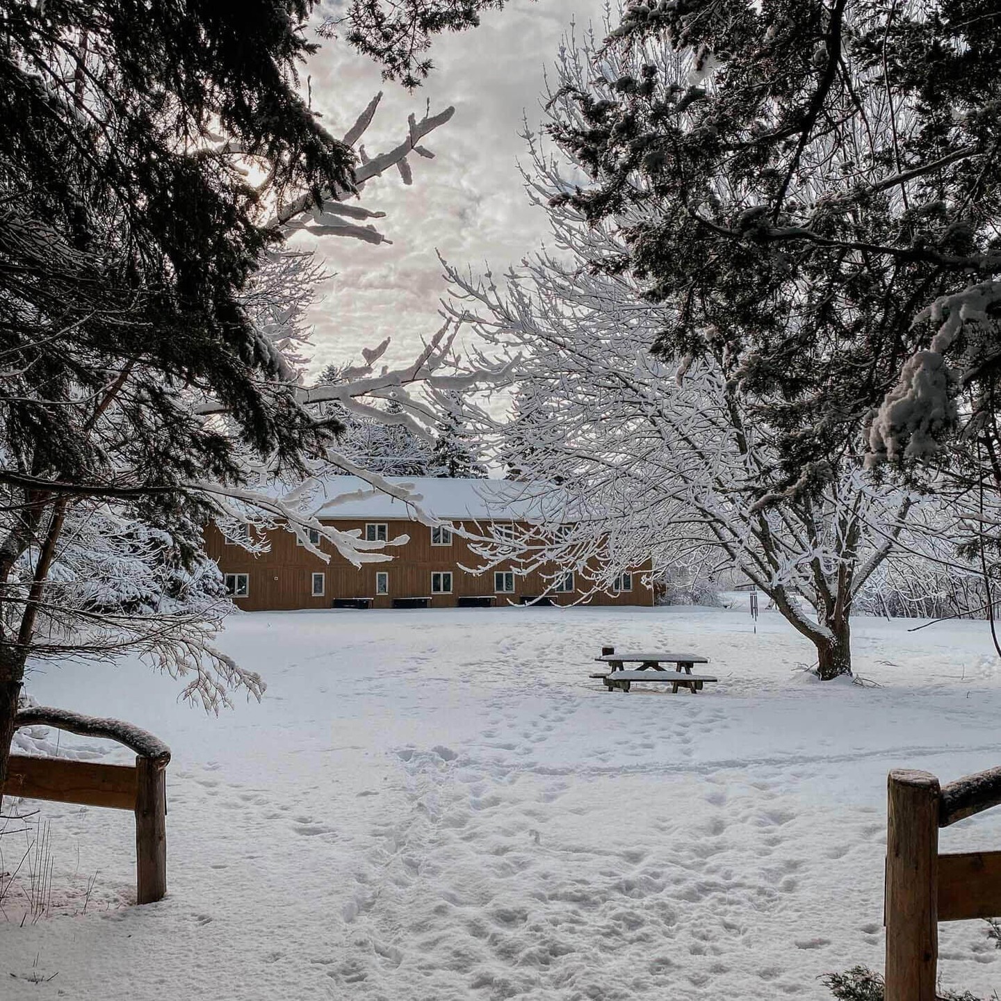 Just last week — walking back from the forest trail, snow crunching underfoot, and heading inside for a cup of hot chocolate. ☕❄️ Simple, beautiful life.
#Truehouse #PrinceEdwardCounty #PEC #WinterWonderland #NatureTrails #CozyVibes #CanadianWinter #PECRetreats #SimpleJoy