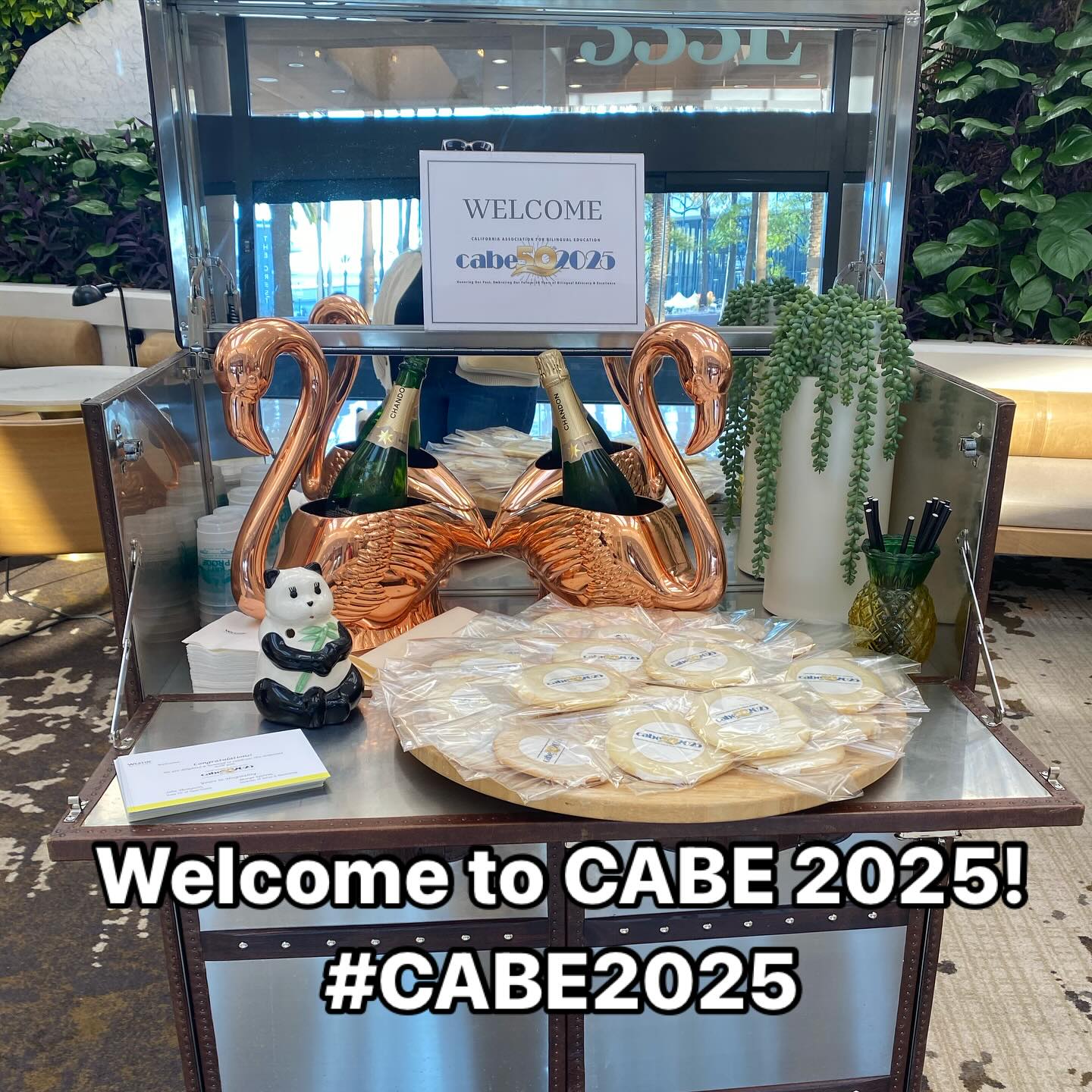 Excited to be at CABE 2025!
#cabe2025 #duallanguage
