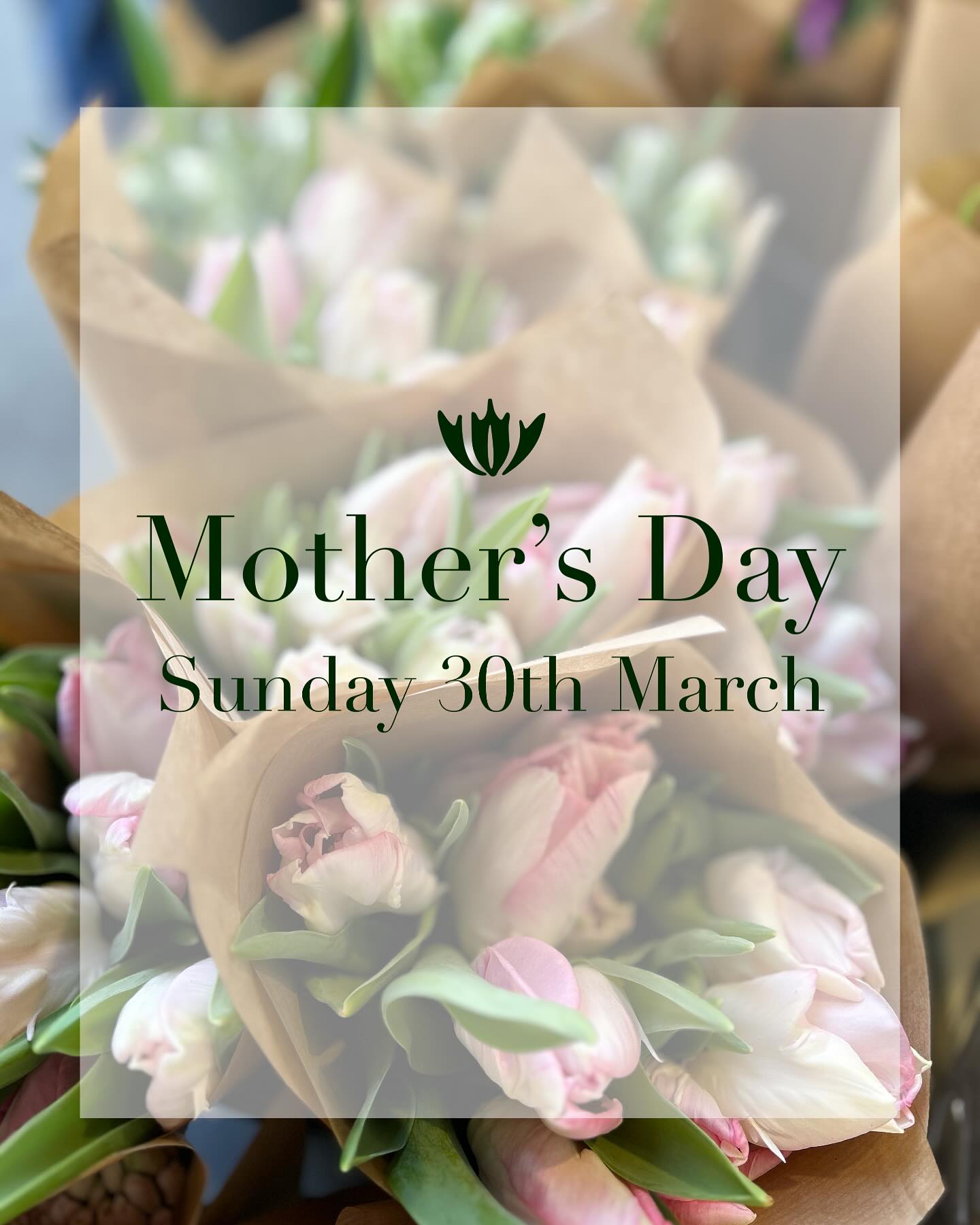 Don’t forget this Sunday is Mother’s Day. Order in store, by phone or online for delivery or collection #yes_flowers
#mothersday #mothersdaygiftideas #happymothersday #flowerdelivery #galway