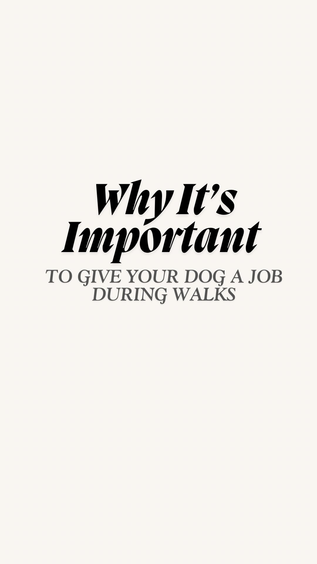 Your dog doesn’t need a longer walk—they need a more intentional one. At Bark Collective, every walk is a training opportunity. We’re teaching dogs how to heel calmly at our side, to sit with purpose when we stop, and how to respond to a light leash check to stay connected. When your dog has a job to focus on, the walk becomes a shared experience instead of a chaotic one. Structure brings clarity.
The magic? It’s not in the distance. It’s in the intention 🐶
#dogtrainingtips #structuredwalk #barkcollective #dogtrainerlife #heeldontpull #DogTraining #DogTrainer #PuppyTraining #PositiveReinforcement #ObedienceTraining #WorkingDog #DogBehavior #DogTrainingLife #DogsOfInstagram #DogLover #puppylove