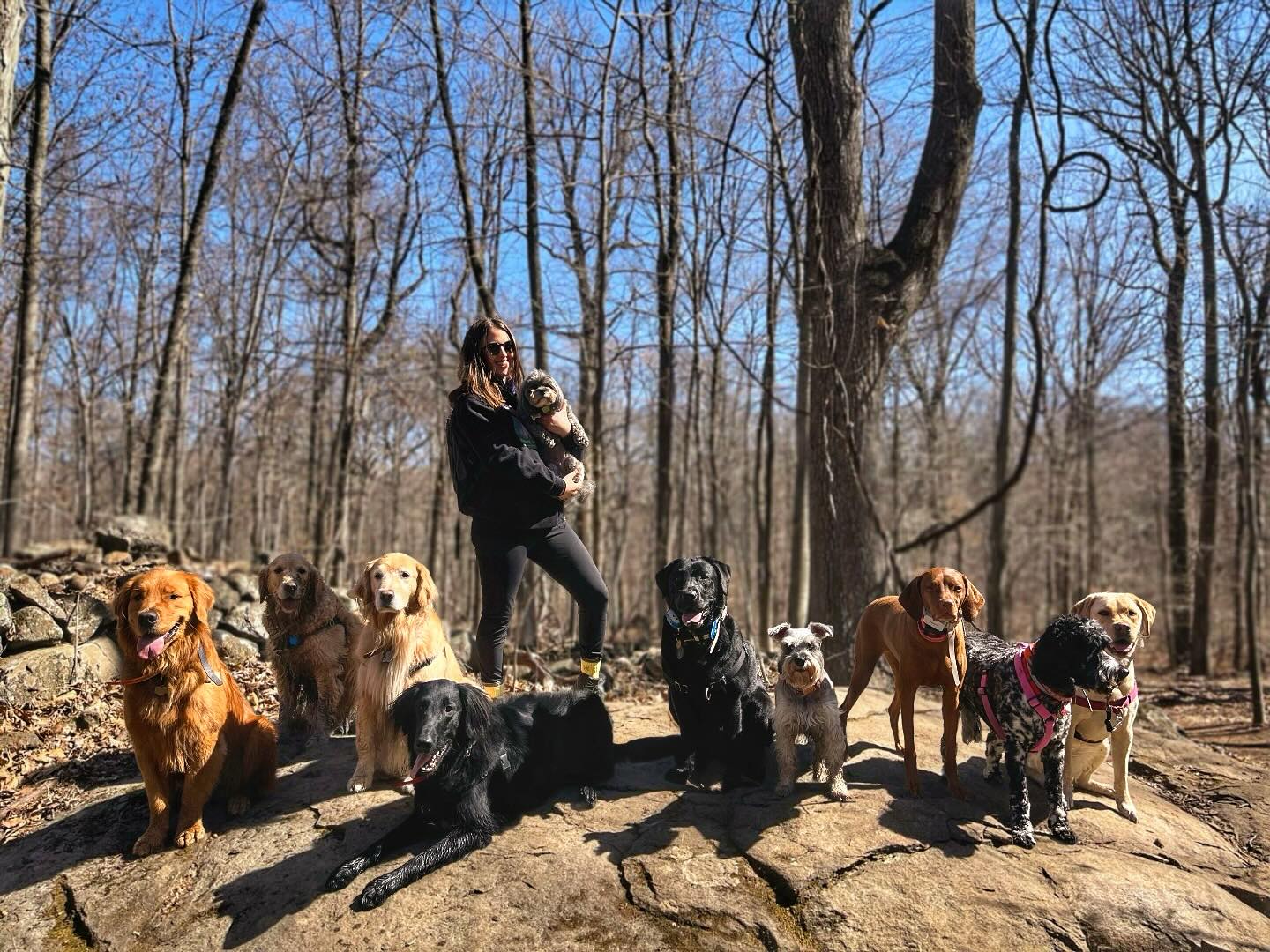 ☀️ Back with my pack 🧡
#reunited #postpartum #shapemeup