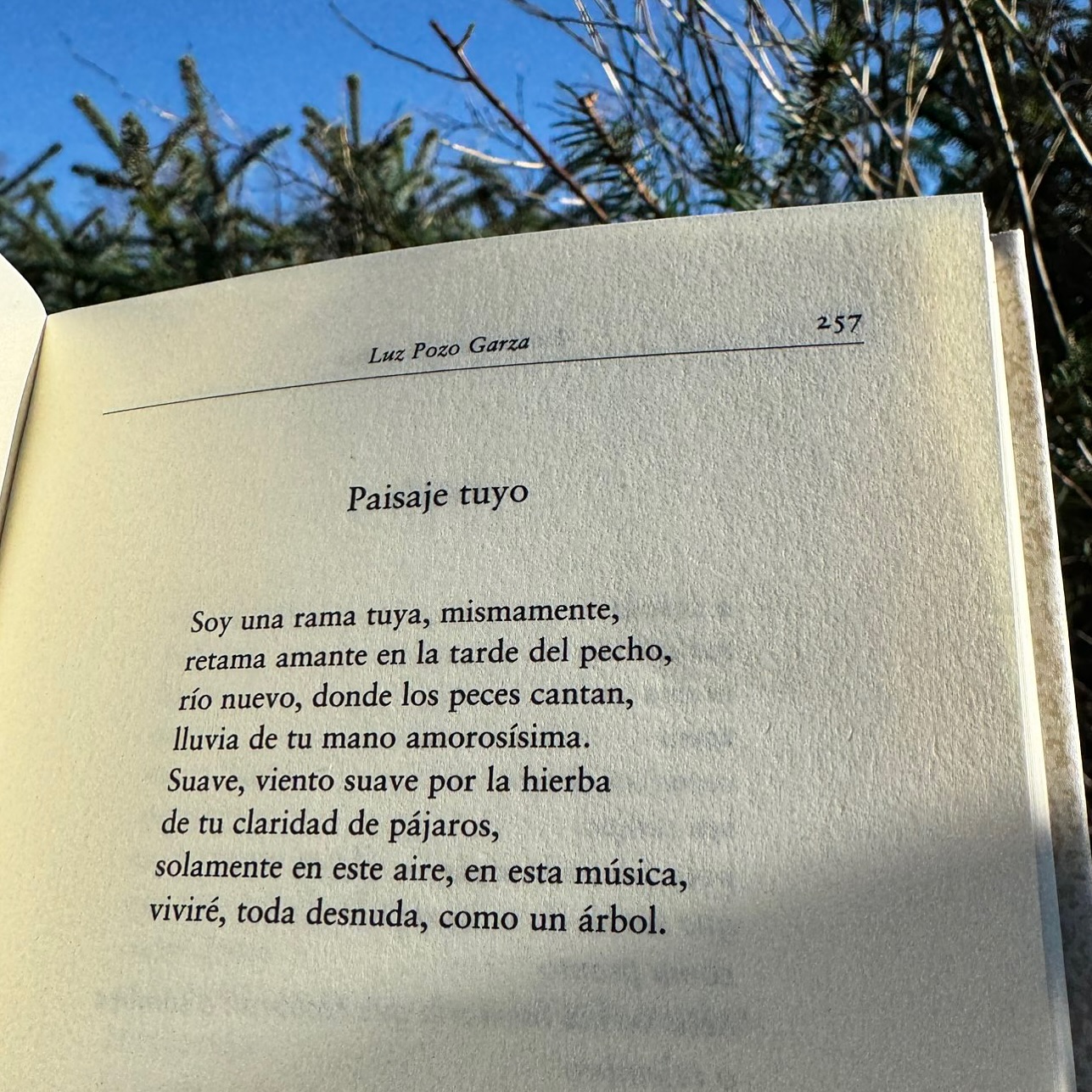 Luz Pozo Garza ✨